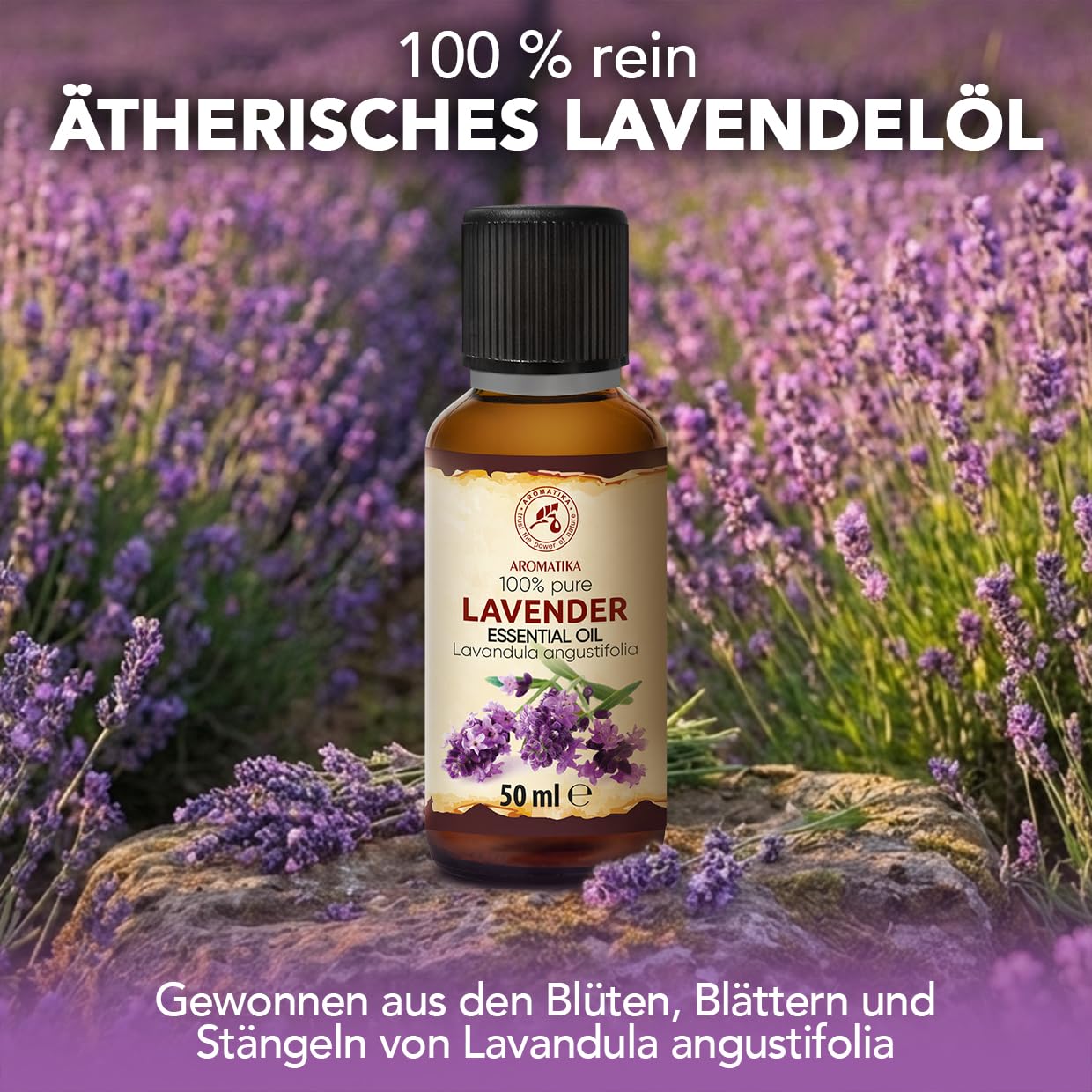 aromatika-lavendel-l-therisches-l-lavandula-50-ml-blumig image 2