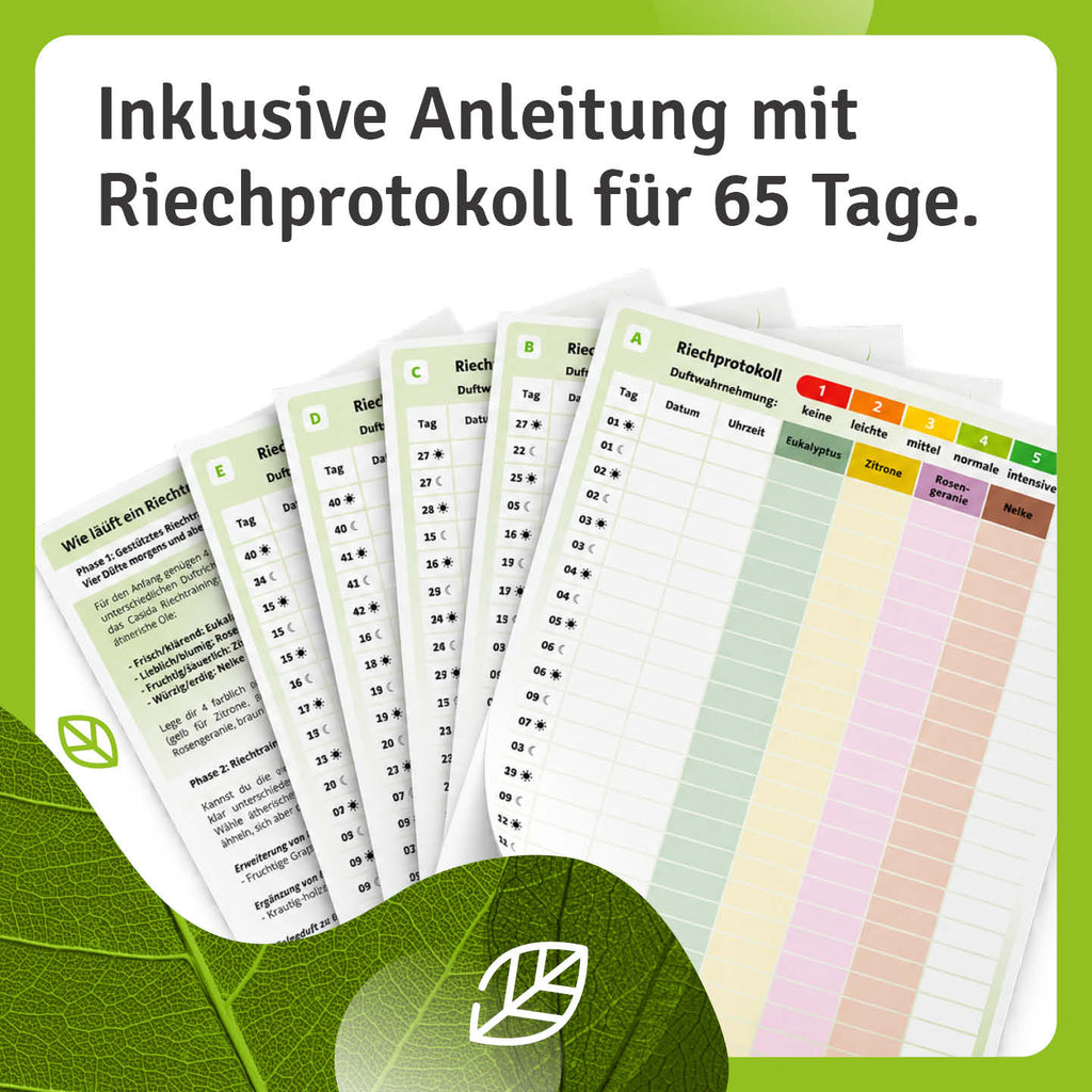 casida-riechtraining-therische-le-set-4-d-fte-mit-eukalyptus image 3