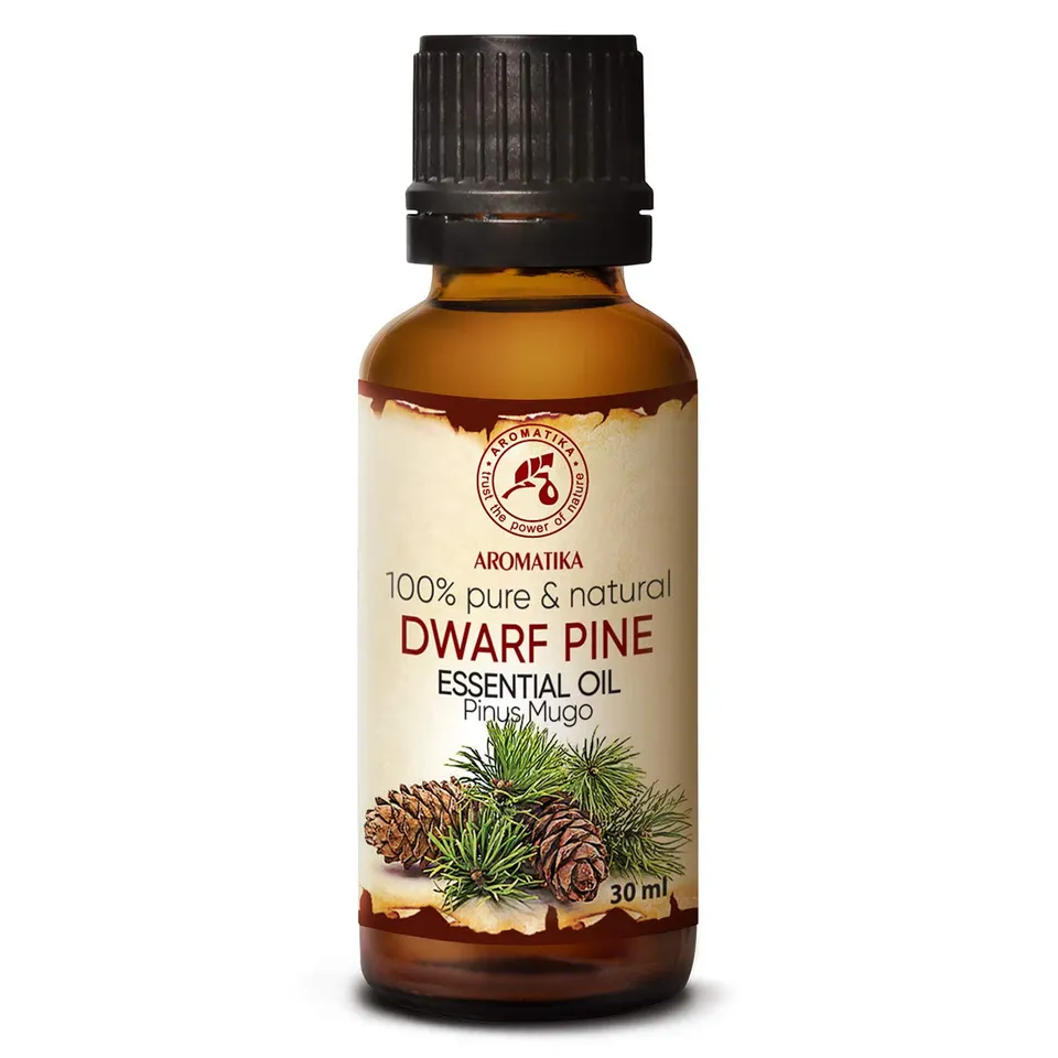aromatika-latschenkiefer-l-therisches-l-30-ml-sauna-pinus-mugo image 1