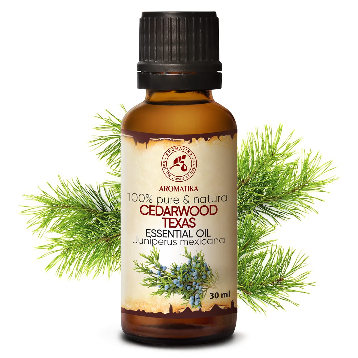 aromatika-zedern-l-usa-therisches-l-30ml-zedernholz-naturrein image 2