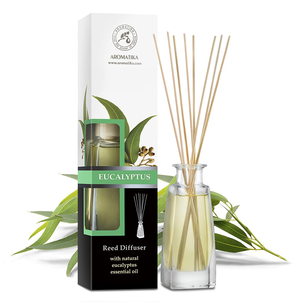 aromatika-reed-diffuser-raumduft-eukalyptus-100-ml-st-bchen image 2