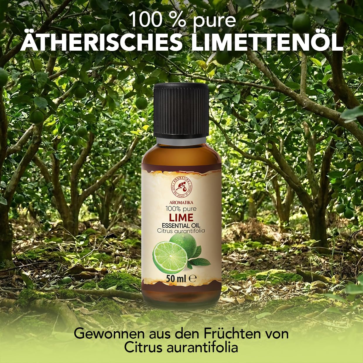 aromatika-essential-limetten-l-therisches-l-50-ml-zitrus image 2