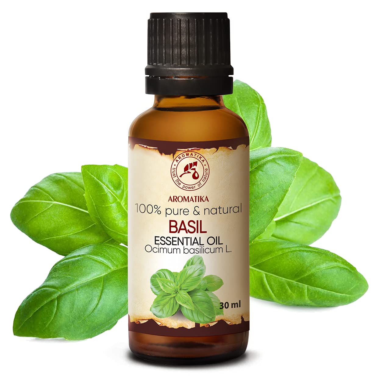 aromatika-basilikum-l-30-ml-naturrein-therisches-l image 2