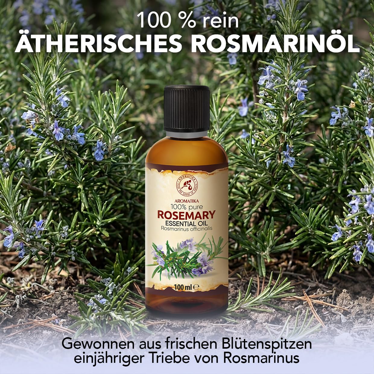 aromatika-essential-oils-rosmarin-duft-l-100-ml-kr-uter-frisch image 2