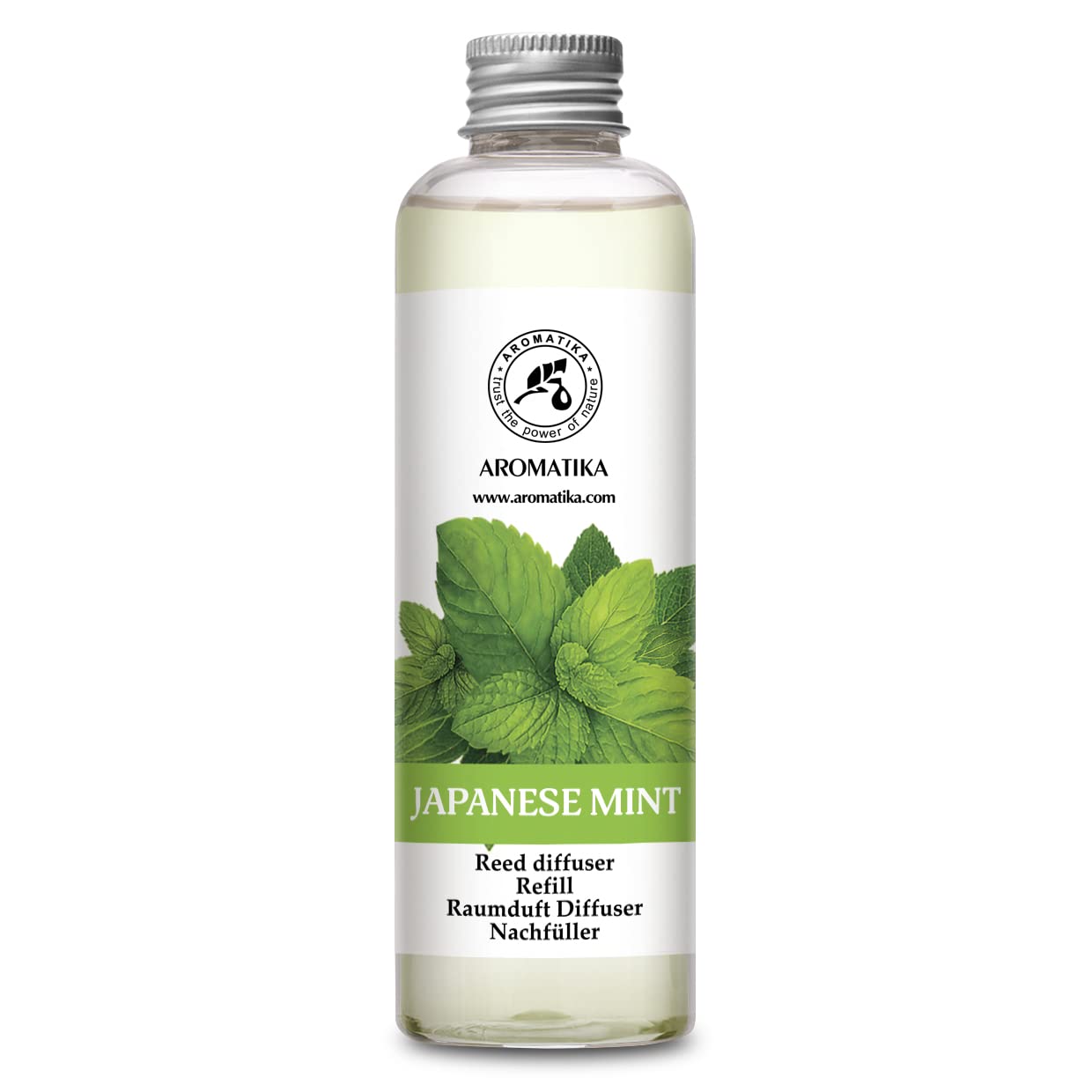 aromatika-reed-diffusers-raumduft-diffuser-100-ml-japanische-minze image 8