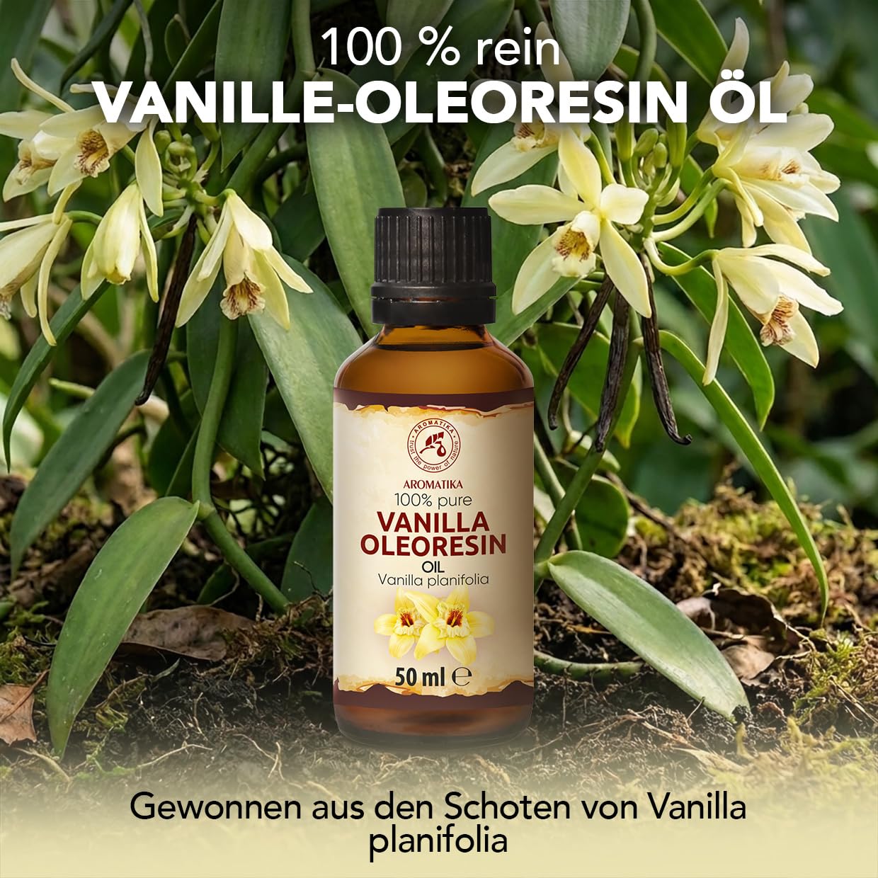 aromatika-vanille-oleoresin-l-50-ml-duft-l-s-warm image 2
