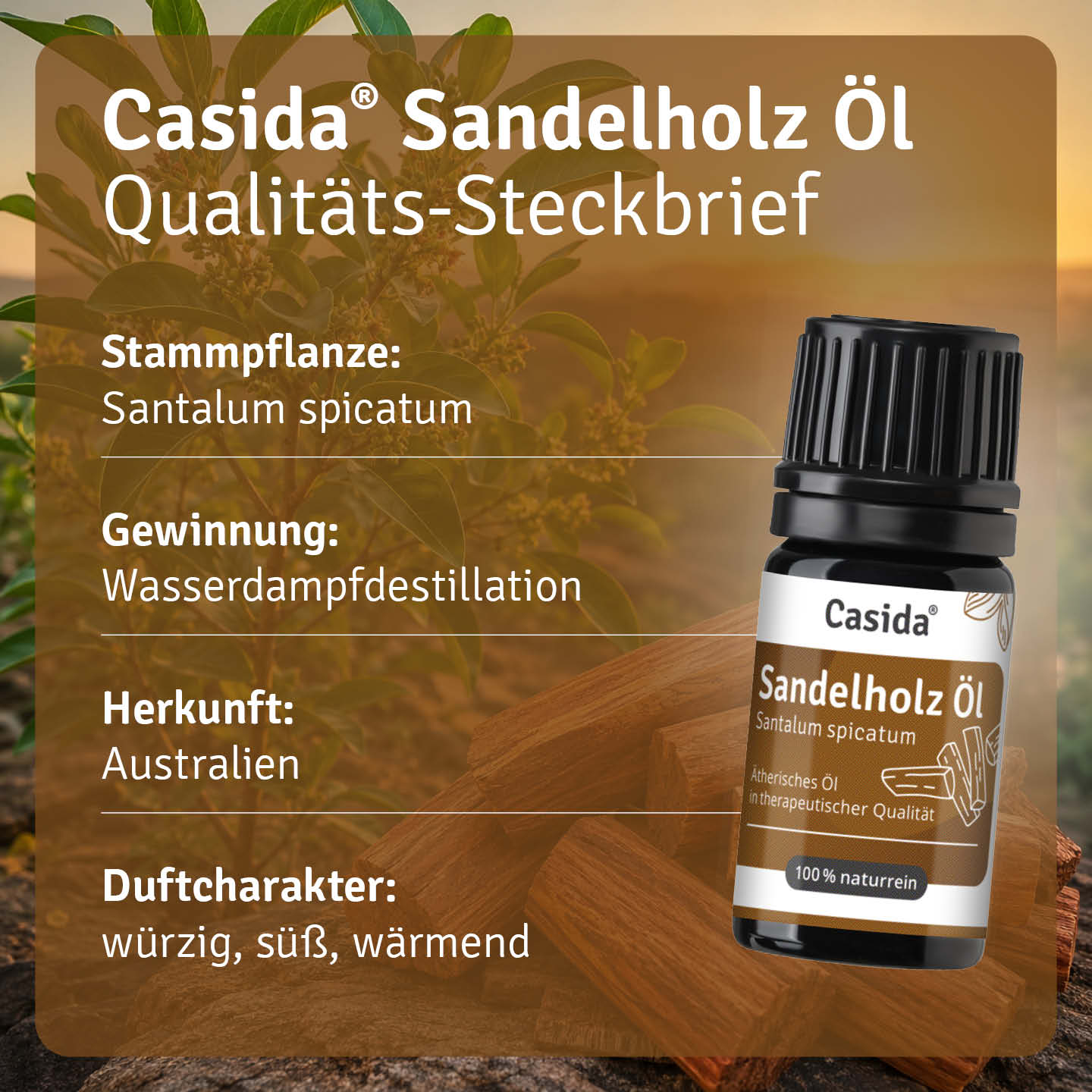 casida-sandelholz-l-therisches-l-holzig-warm image 3