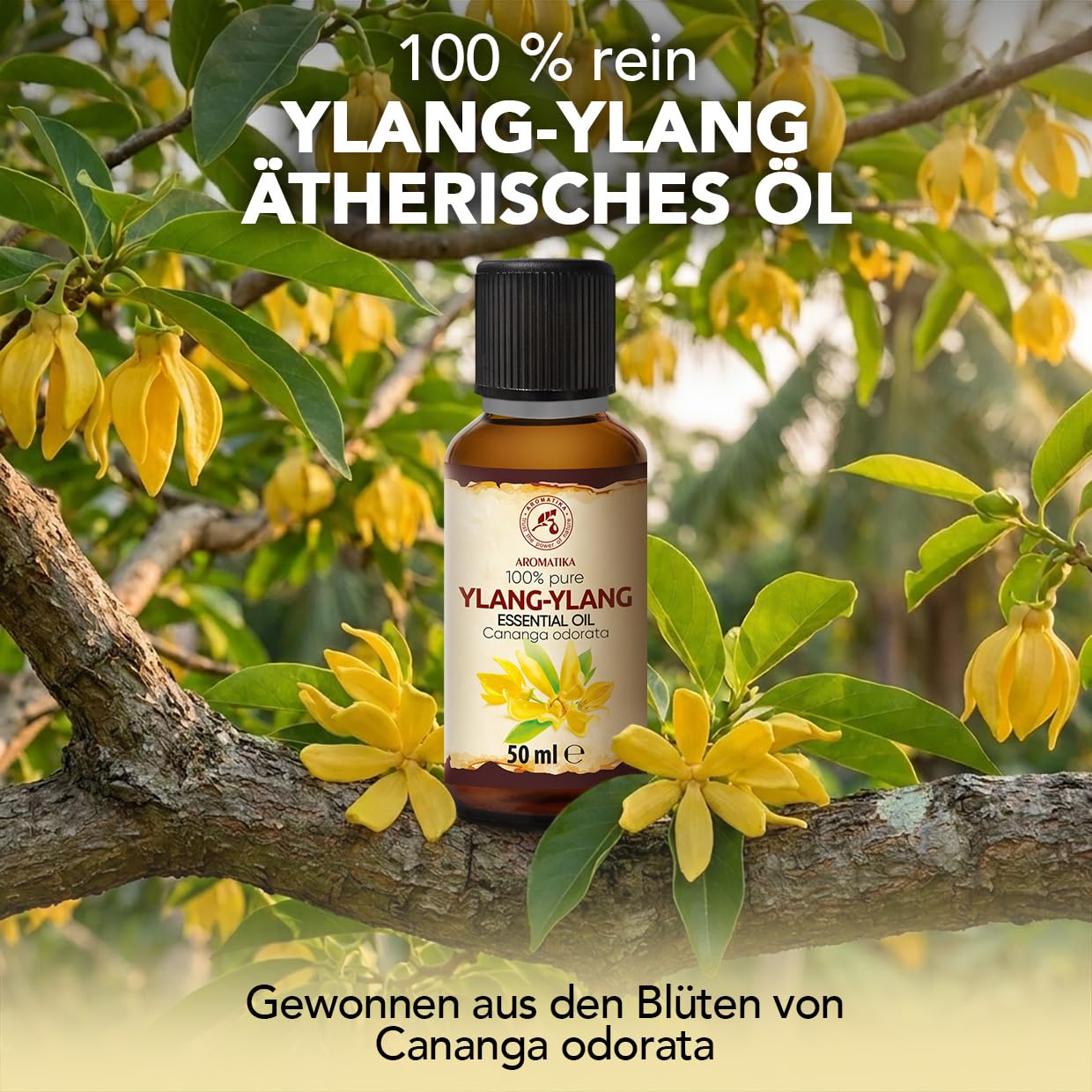aromatika-essential-oils-ylang-ylang-therisches-l-50-ml-blumig image 2