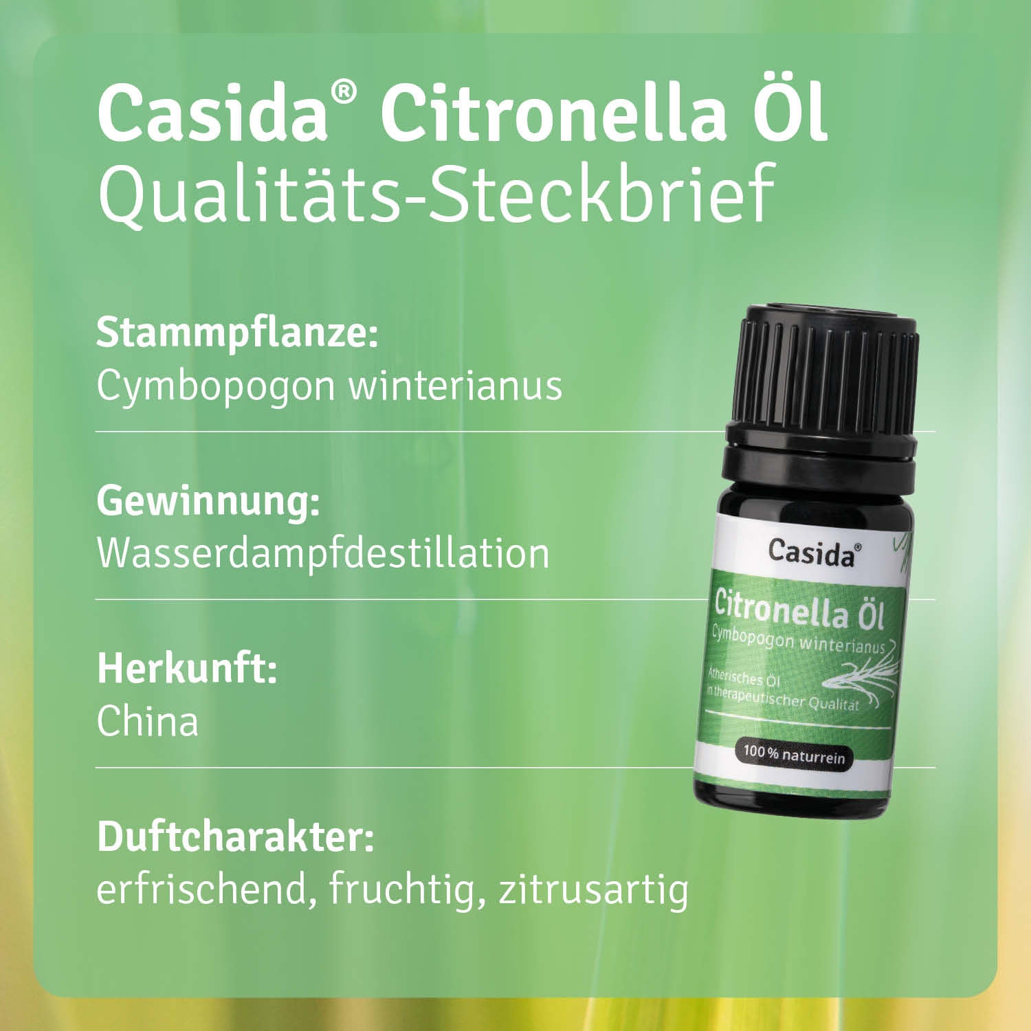 casida-citronella-l-therisches-l-naturrein-sommerduft image 3