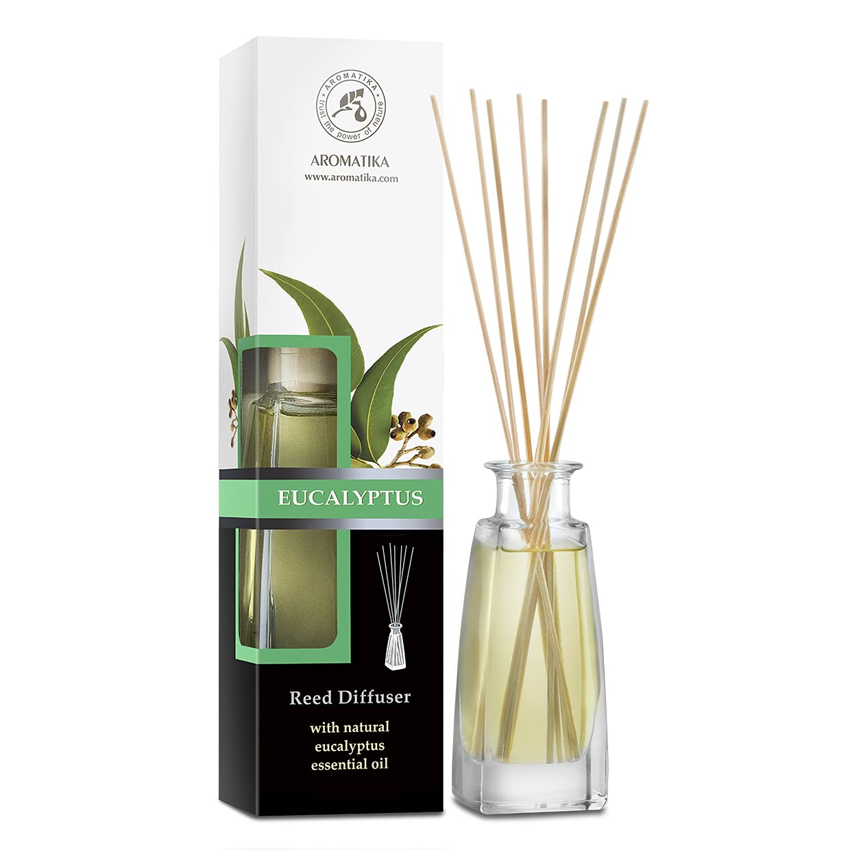 aromatika-reed-diffuser-raumduft-eukalyptus-100-ml-st-bchen image 1
