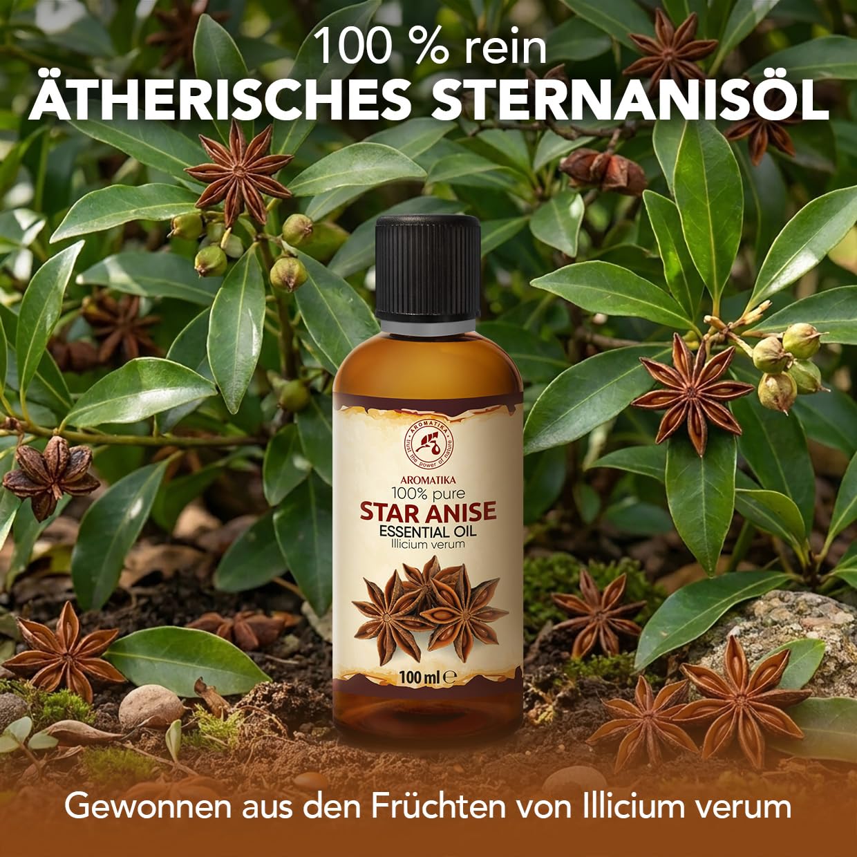 aromatika-sternanis-therisches-l-100ml-w-rzig-f-r-diffuser image 2