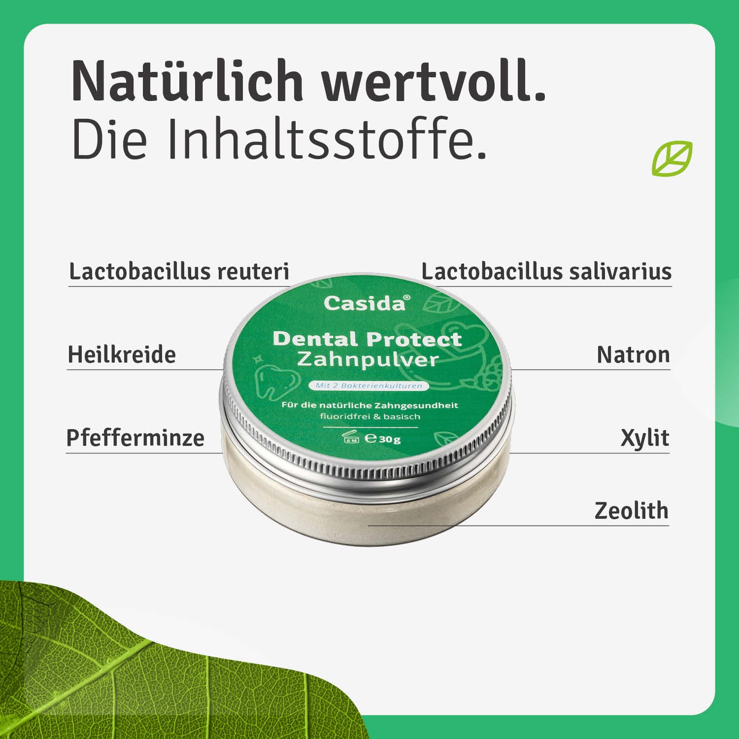 casida-dental-protect-zahnpulver-minze-fluoridfrei image 2