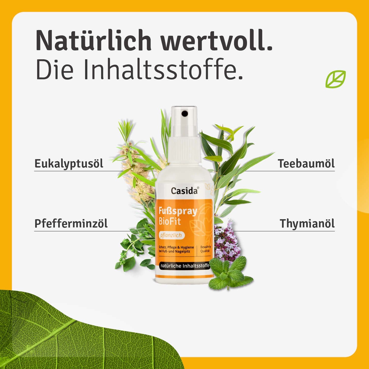casida-biofit-fu-spray-pflanzlich-gegen-geruch image 2