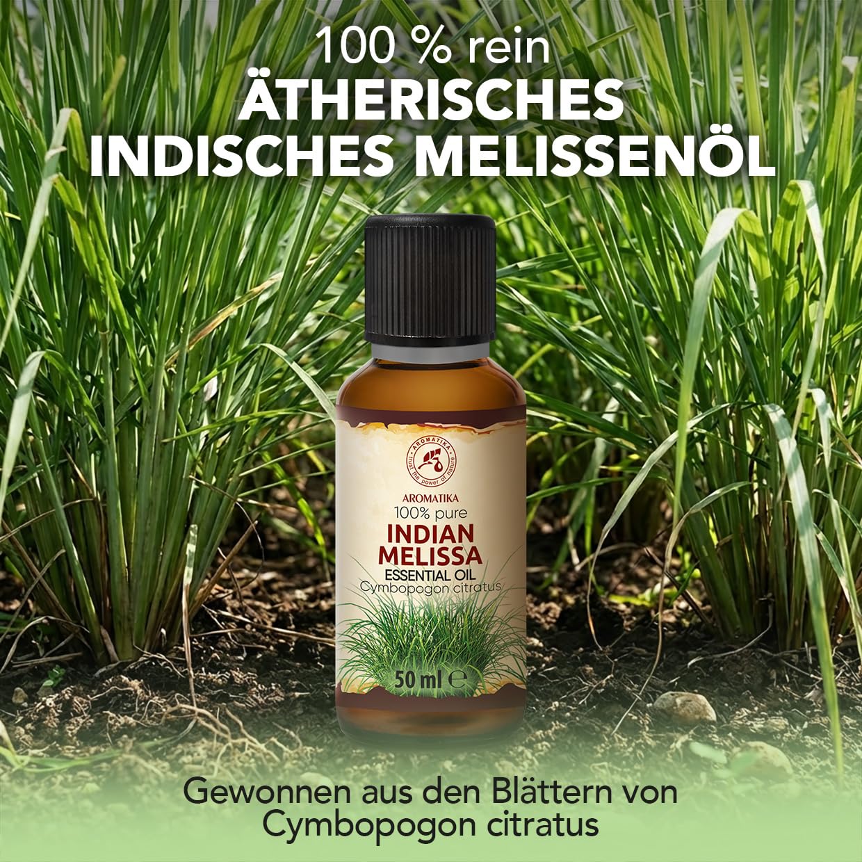 aromatika-melissen-l-therisches-l-50-ml-frisch image 2