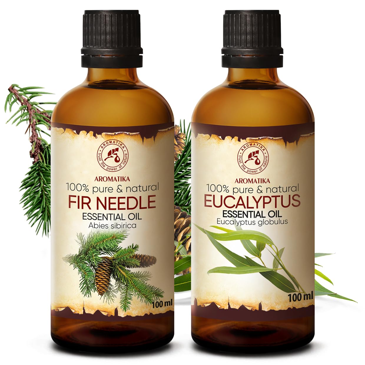 aromatika-therische-le-fichte-eukalyptus-2x100-ml image 2