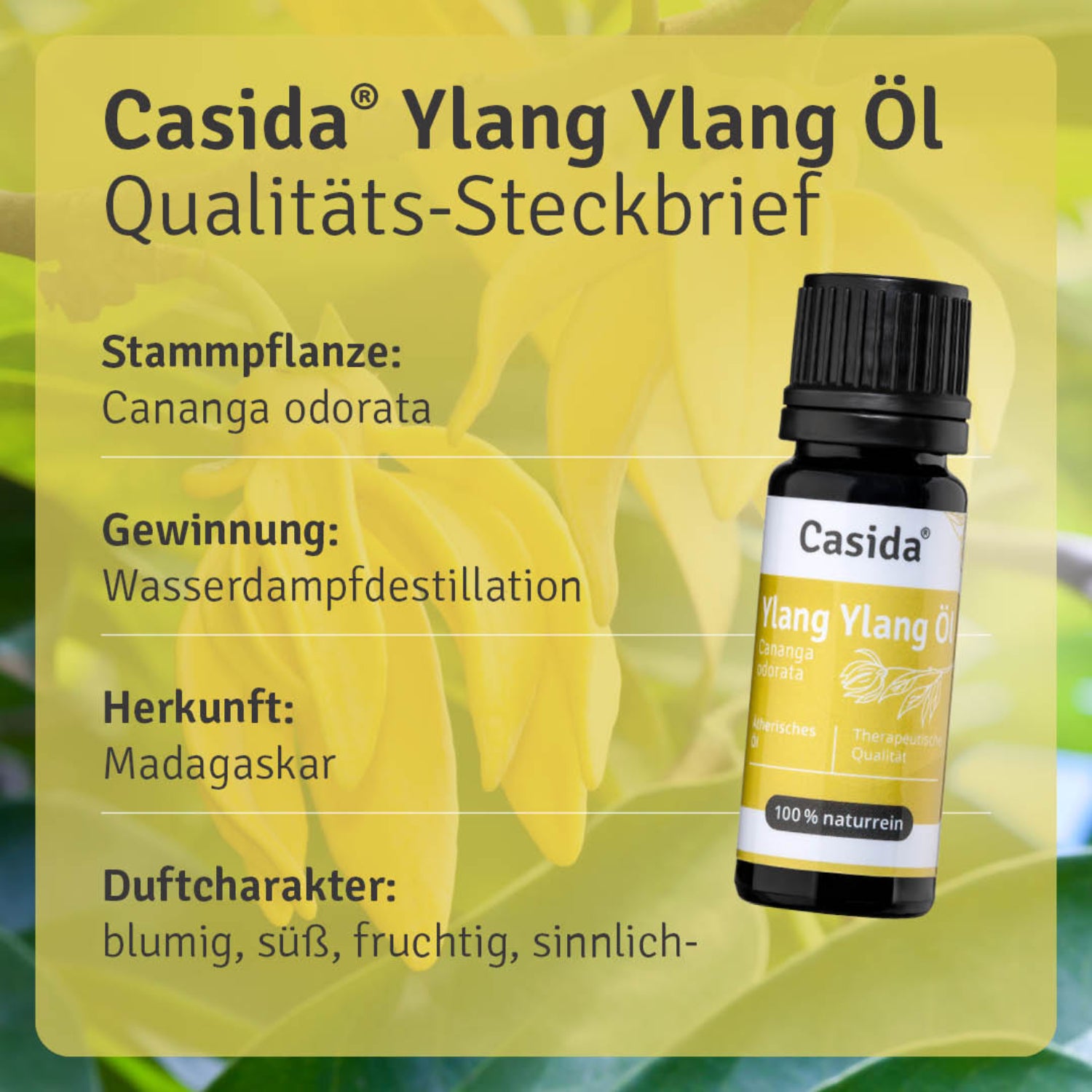 casida-aromatherapie-ylang-ylang-l-therisches-duft-l-blumig image 3