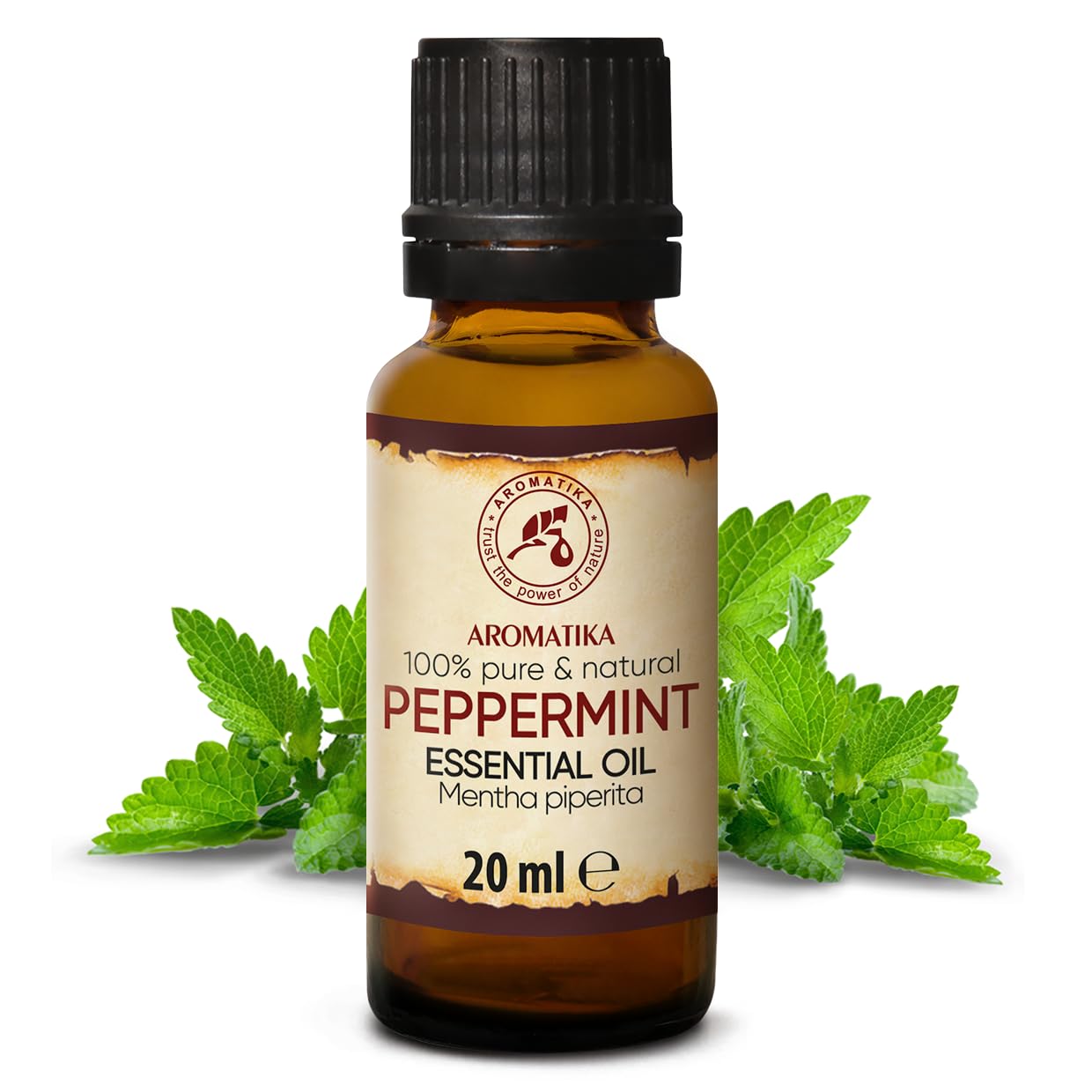 aromatika-pfefferminz-therisches-l-20-ml-mentha-piperita image 1