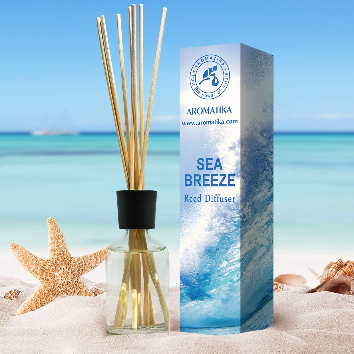 aromatika-reed-diffusers-raumduft-diffuser-meeresbrise-100-ml image 5