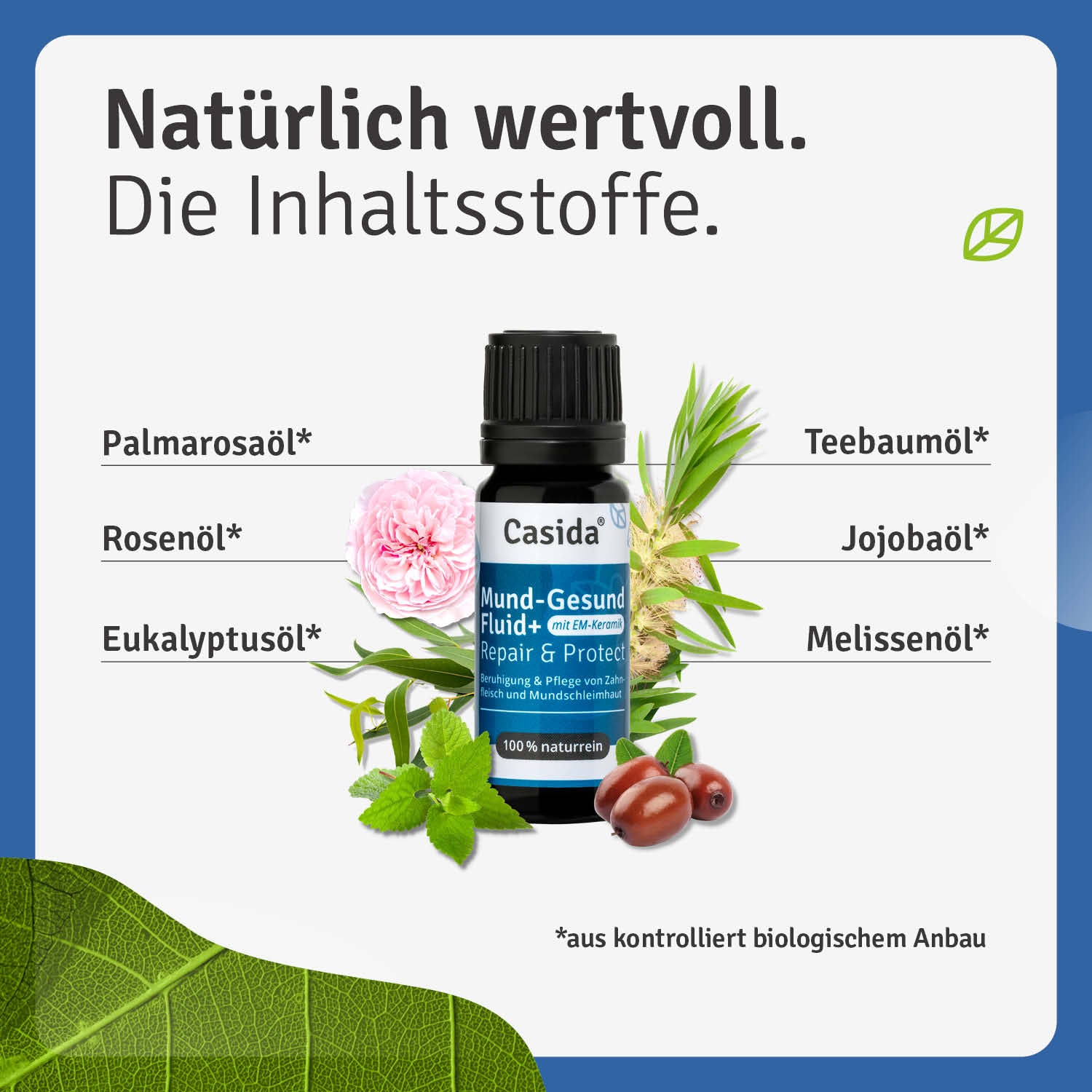 casida-mund-gesund-fluid-em-keramik-zahnfleischpflege-2 image 2