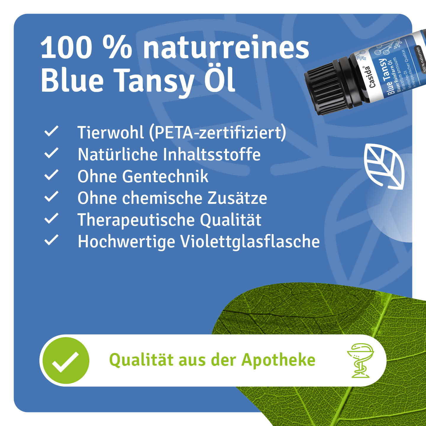 casida-blue-tansy-blauer-rainfarn-l-therisch-blau image 7