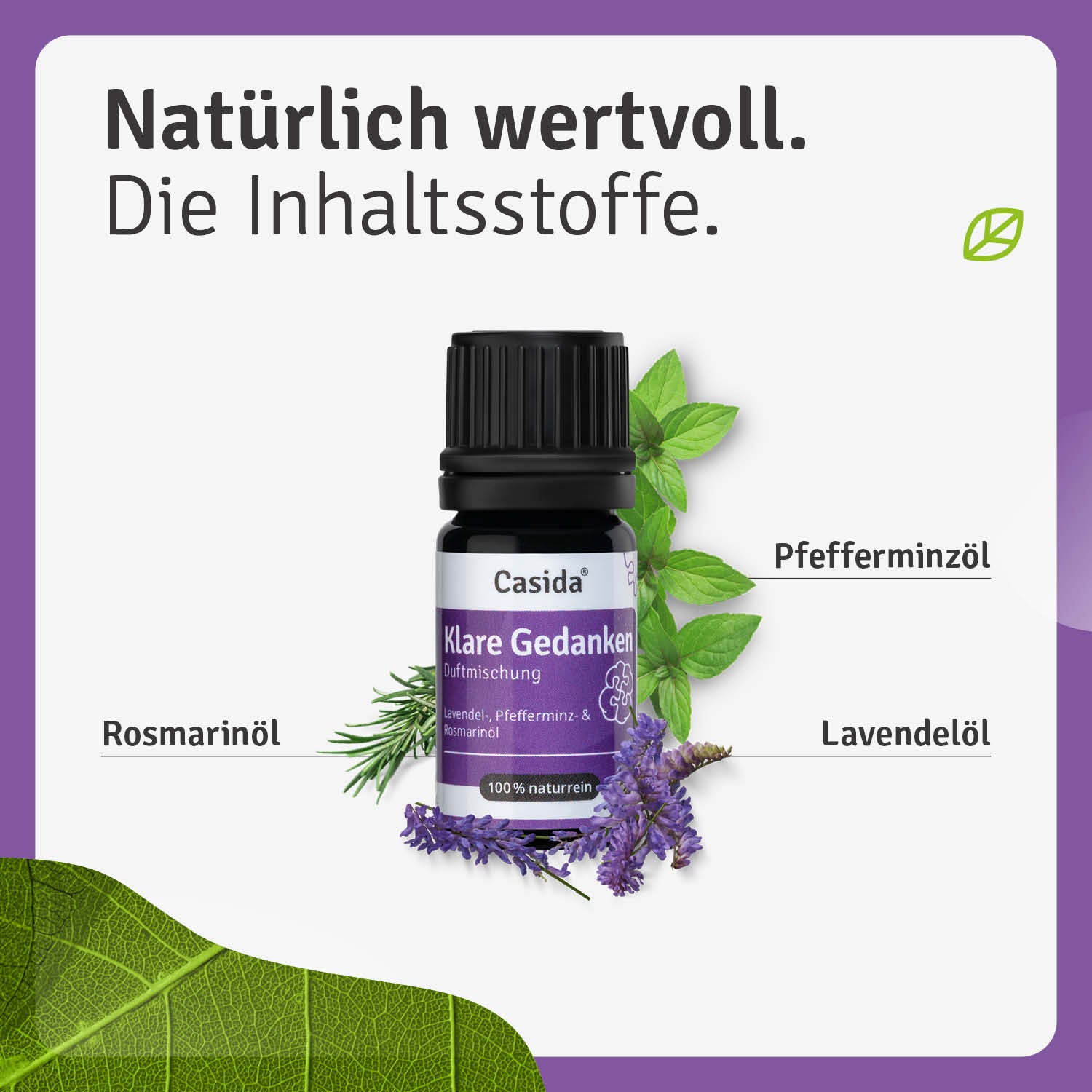 casida-klare-gedanken-duftmischung-therisches-l-fokus-2 image 2