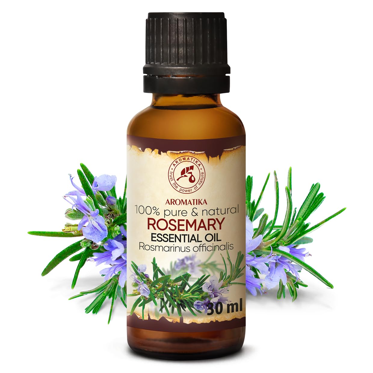 aromatika-rosmarin-l-30ml-naturreines-therisches-l image 2