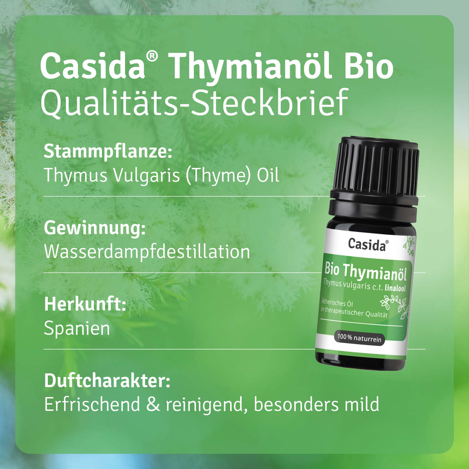 casida-aromatherapie-bio-thymian-l-linalool-therisches-l-mild image 3