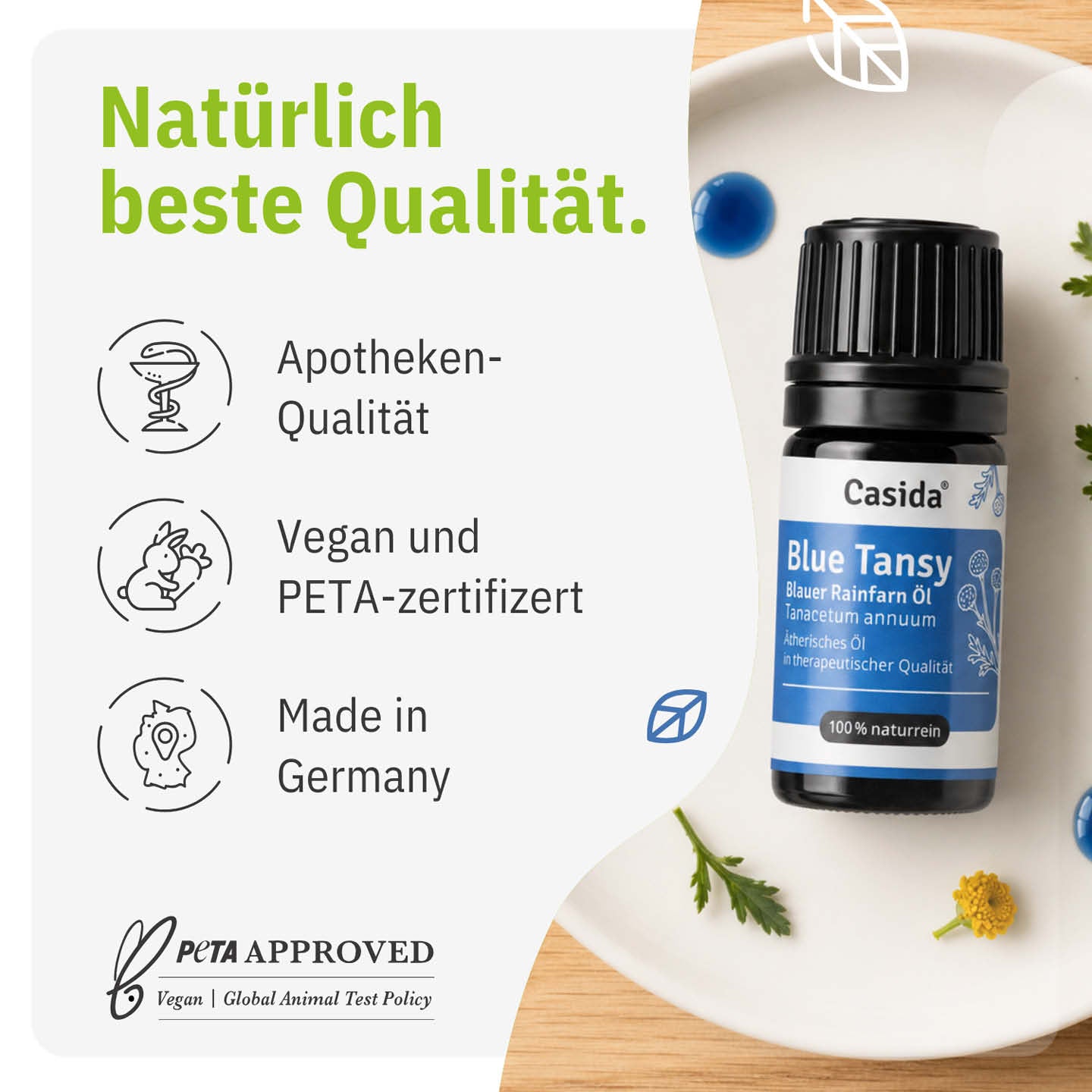 casida-blue-tansy-blauer-rainfarn-l-therisch-blau image 3