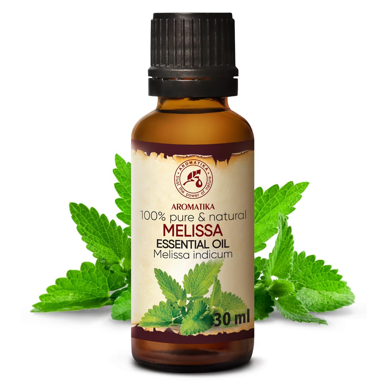 aromatika-melissen-l-melissa-indicum-30-ml-beruhigend image 2