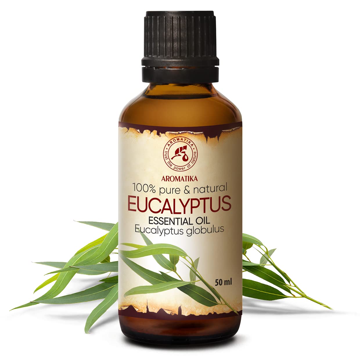 aromatika-eucalyptus-therisches-l-50-ml-rein image 2