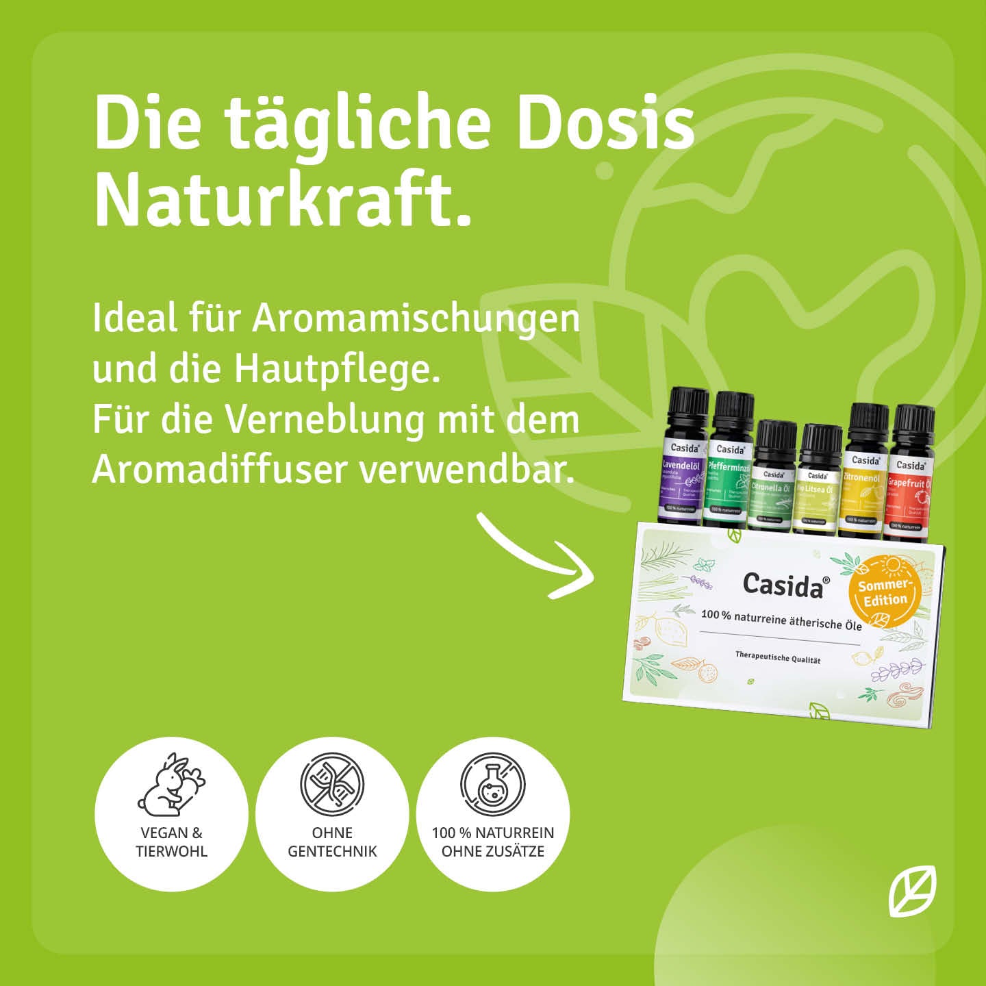 casida-therische-sommer-le-6er-set-geschenkbox image 4
