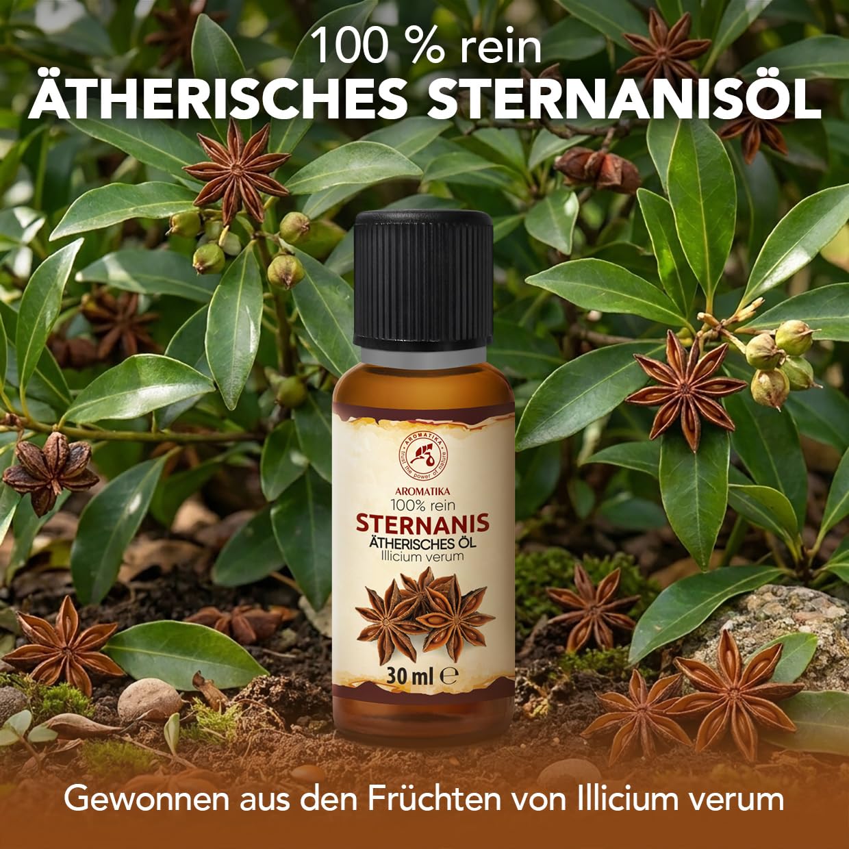 aromatika-sternanis-therisches-l-30-ml-w-rzig image 2