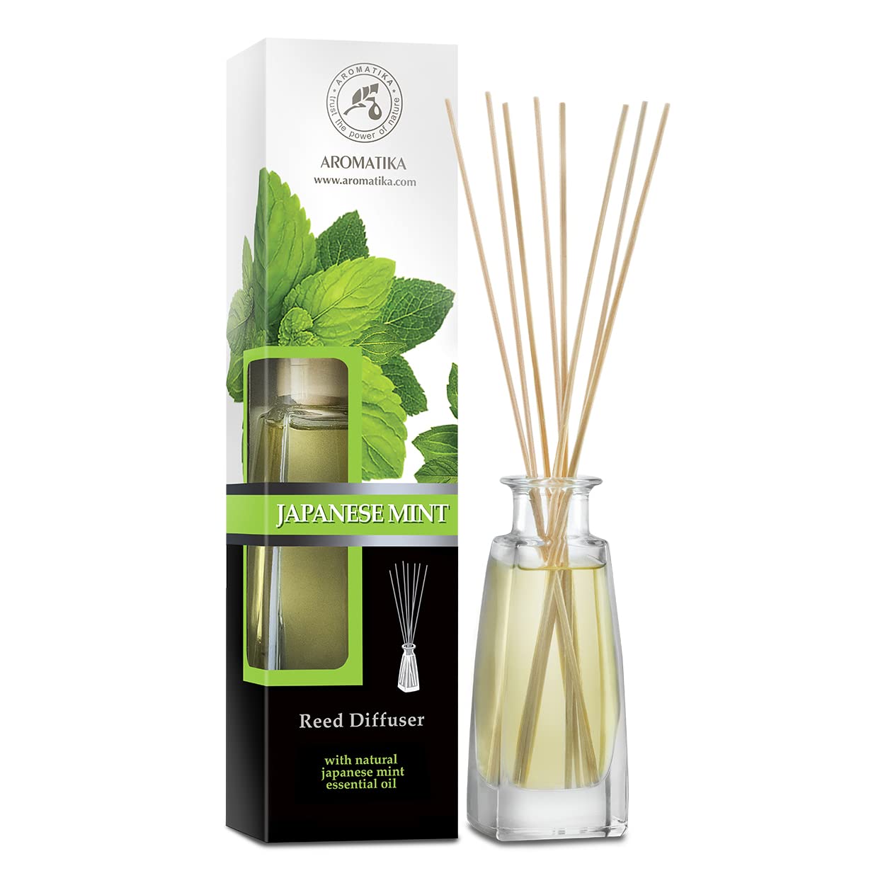 aromatika-reed-diffusers-raumduft-diffuser-100-ml-japanische-minze image 1