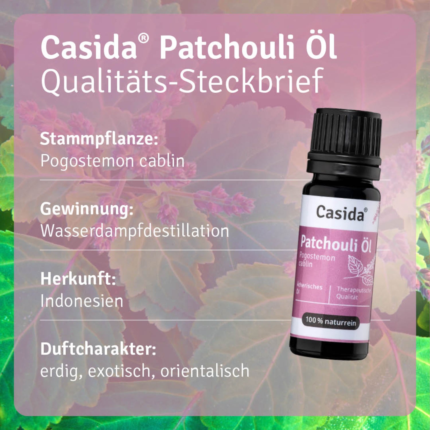 casida-aromatherapie-patchouli-l-therisches-l-beruhigend image 3