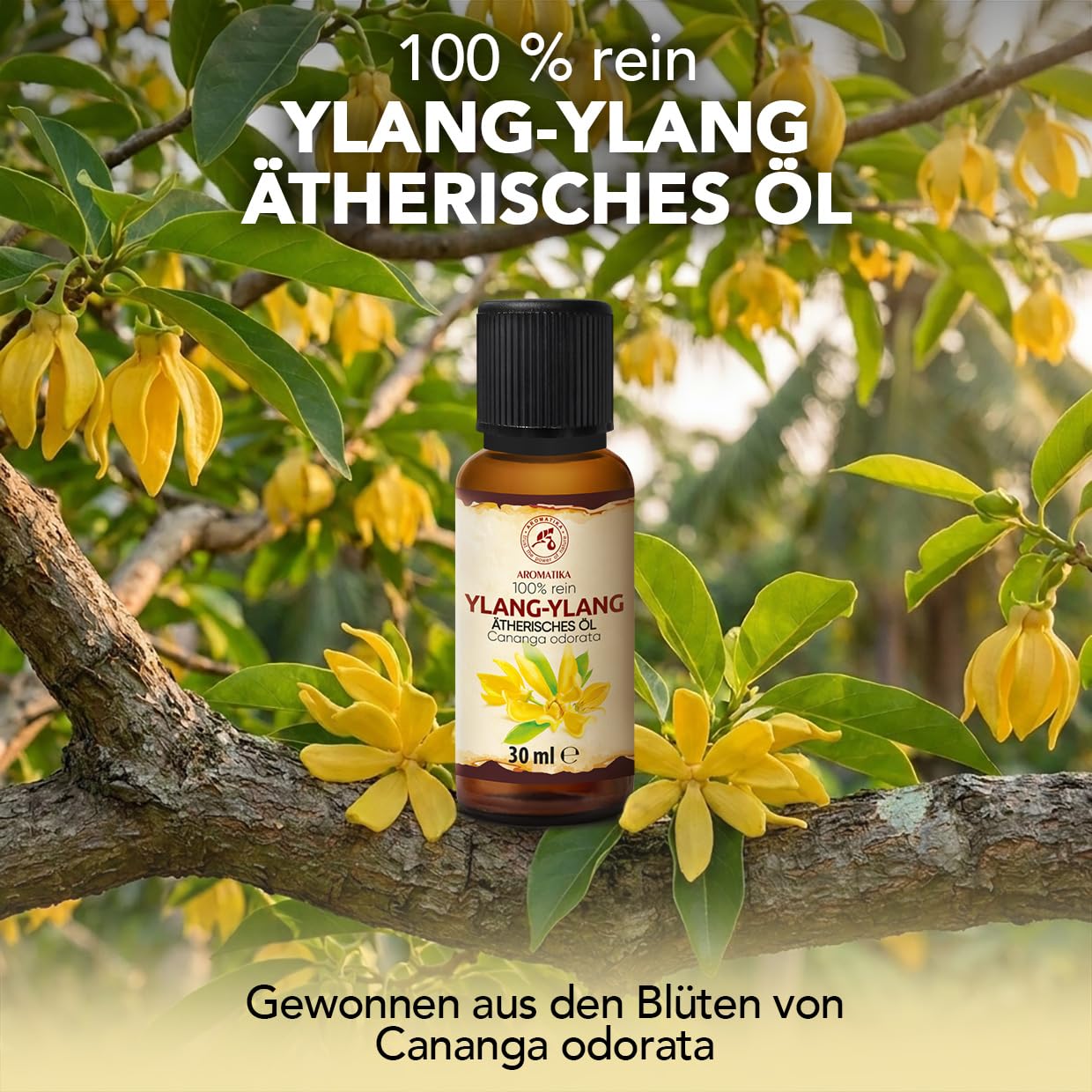 aromatika-ylang-ylang-therisches-l-30-ml-blumig-s image 2