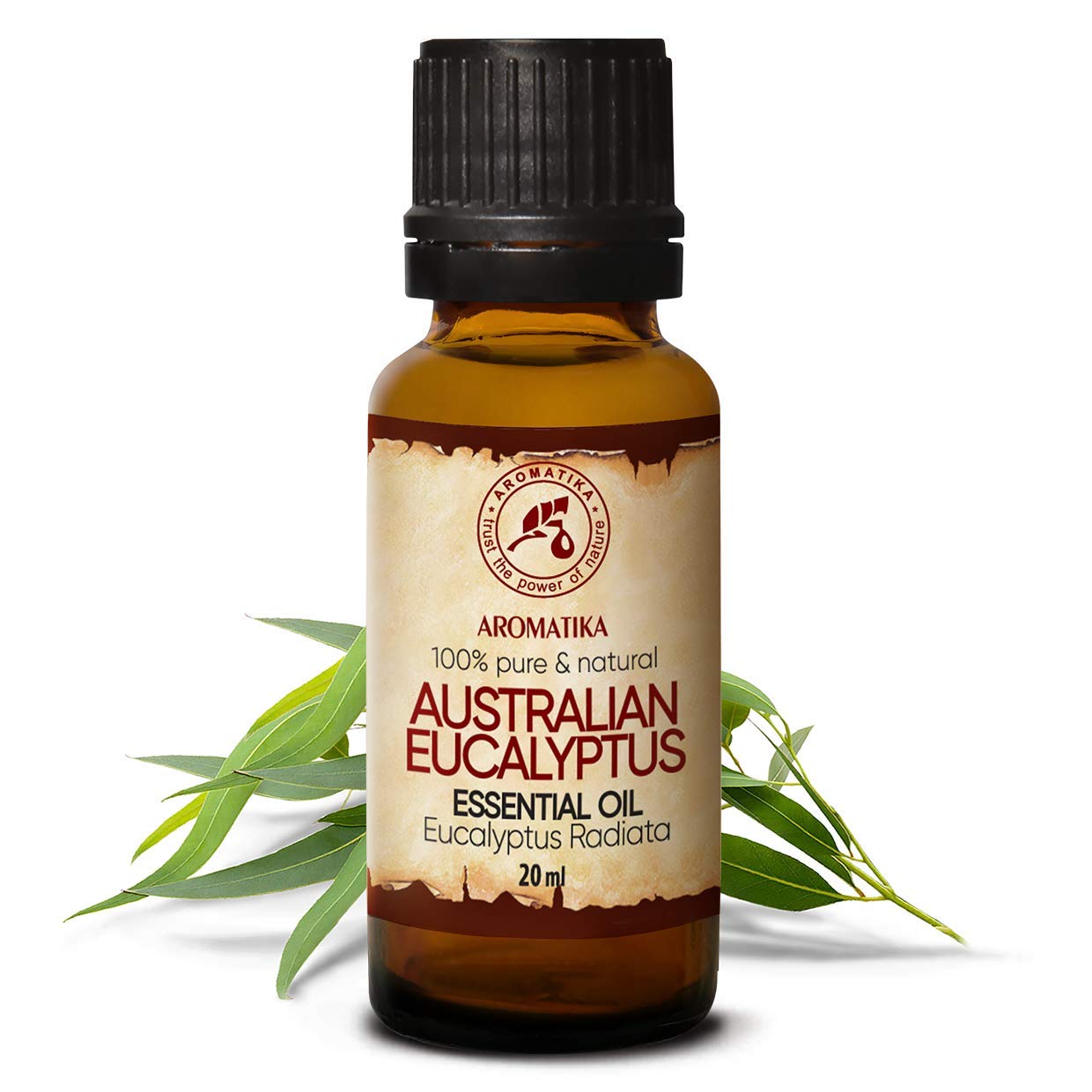 aromatika-essential-oils-eukalyptus-l-20ml-radiata image 2