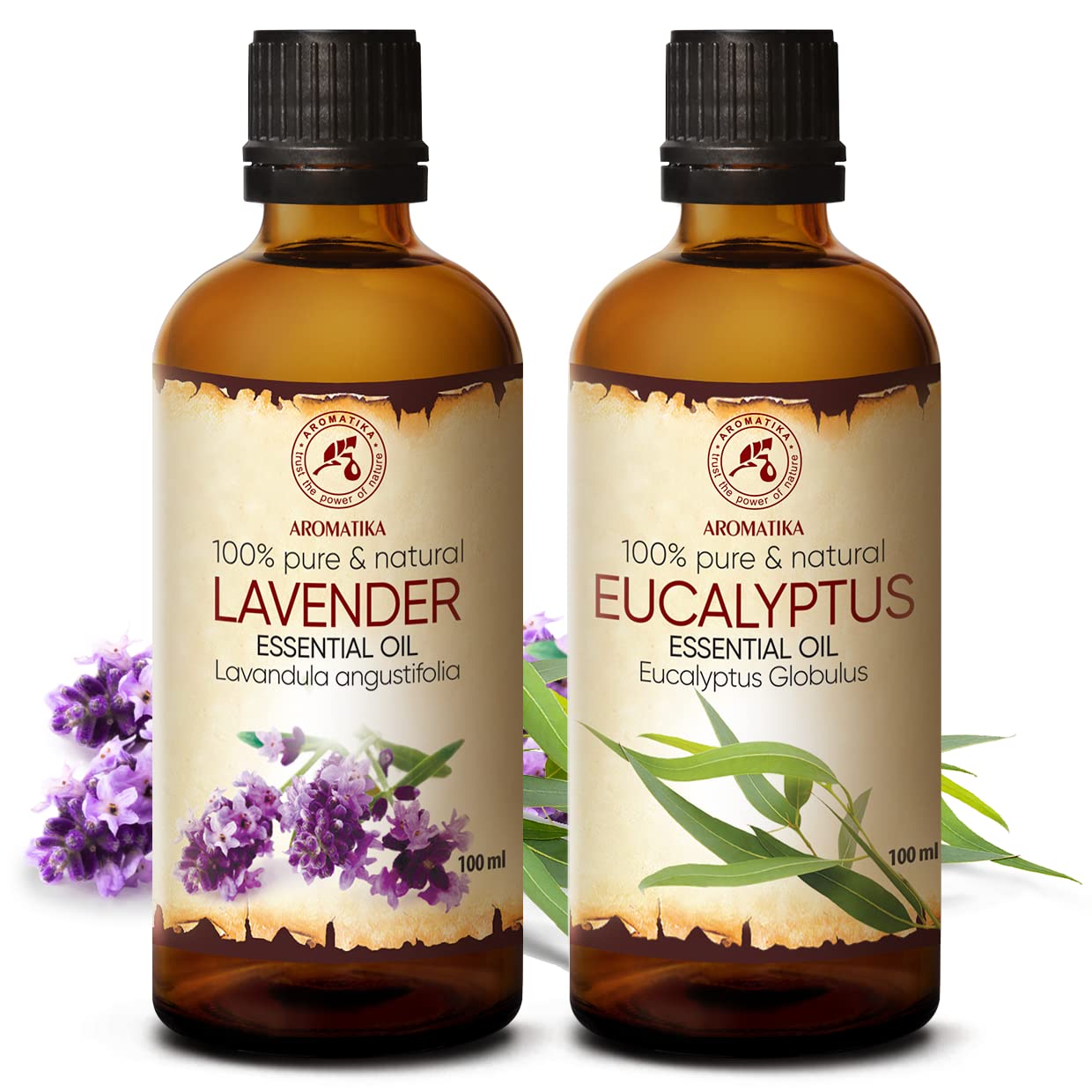 aromatika-essential-oils-therisches-l-set-lavendel-eukalyptus-2x100ml image 2