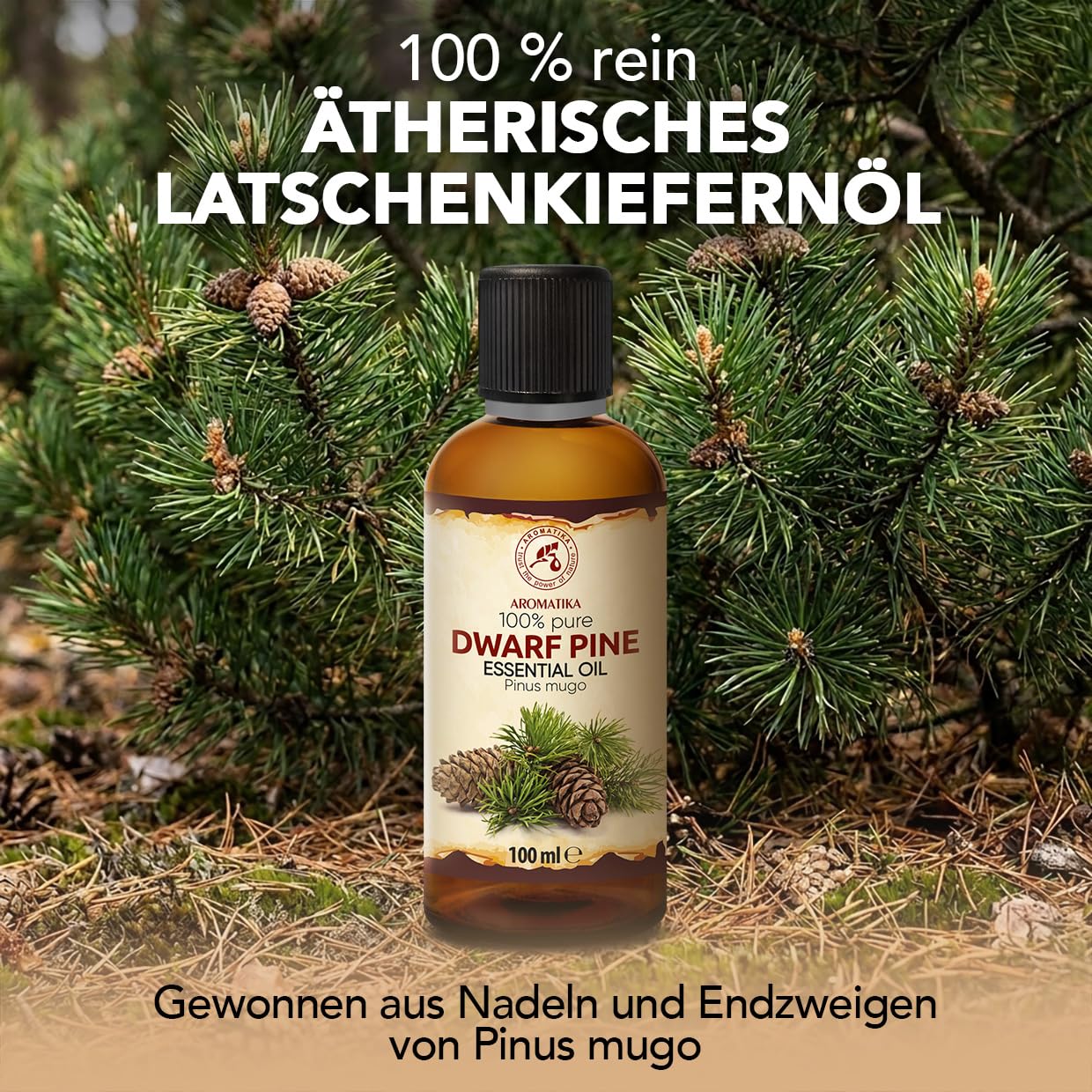 aromatika-latschenkiefern-l-therisches-l-100ml-frisch image 2