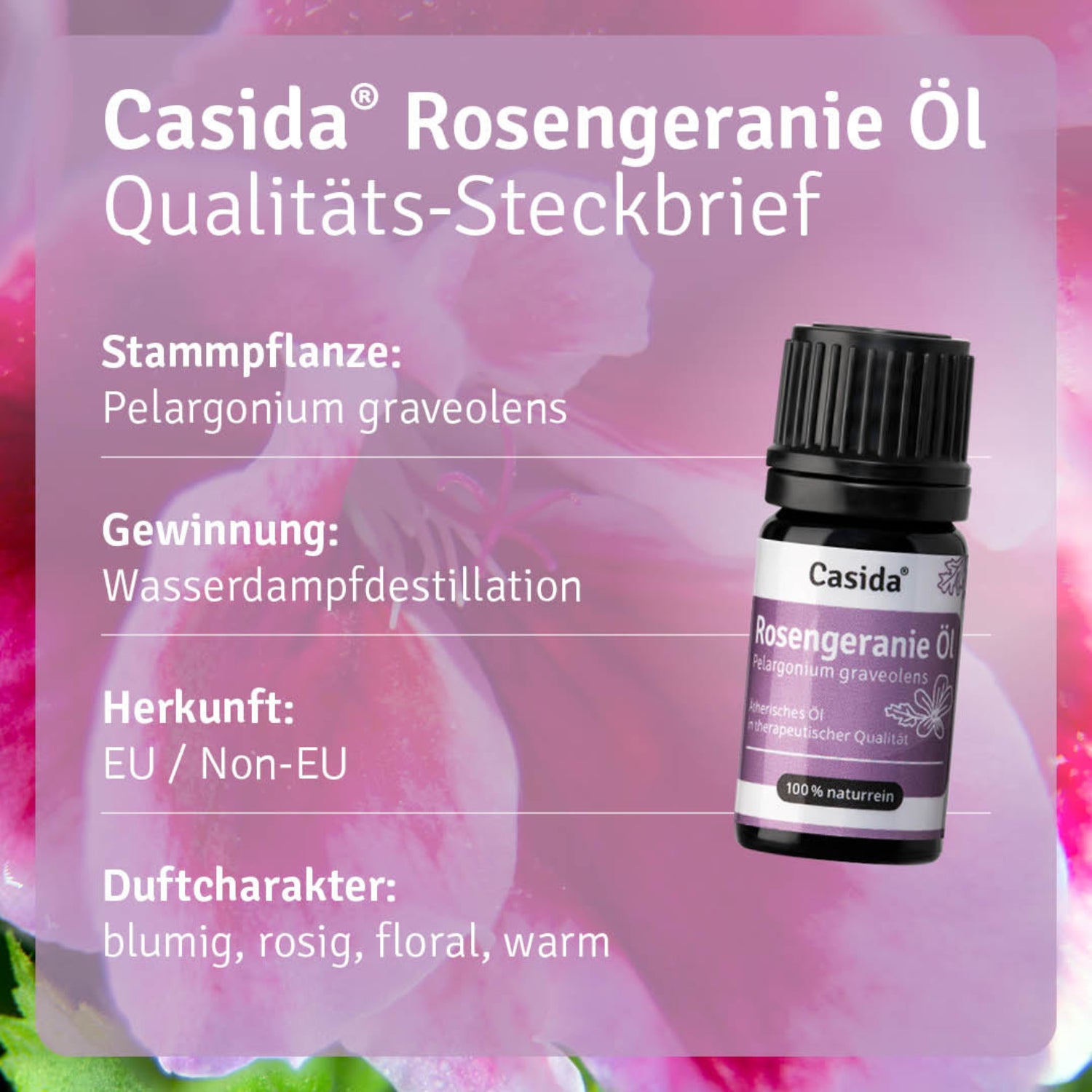 casida-rosengeranie-l-geranien-l-naturrein-violettglas image 3