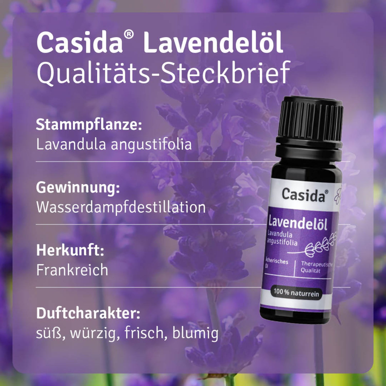 casida-aromatherapie-lavendel-l-therisches-l-frankreich-rein image 3