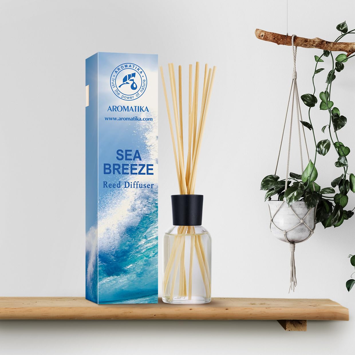 aromatika-reed-diffusers-raumduft-diffuser-meeresbrise-100-ml image 3