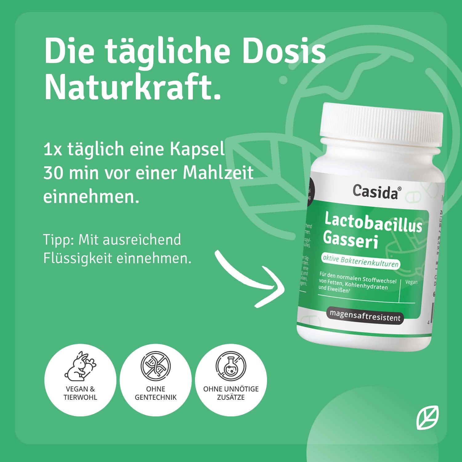 casida-lactobacillus-gasseri-kapseln-darmflora-biotin image 4