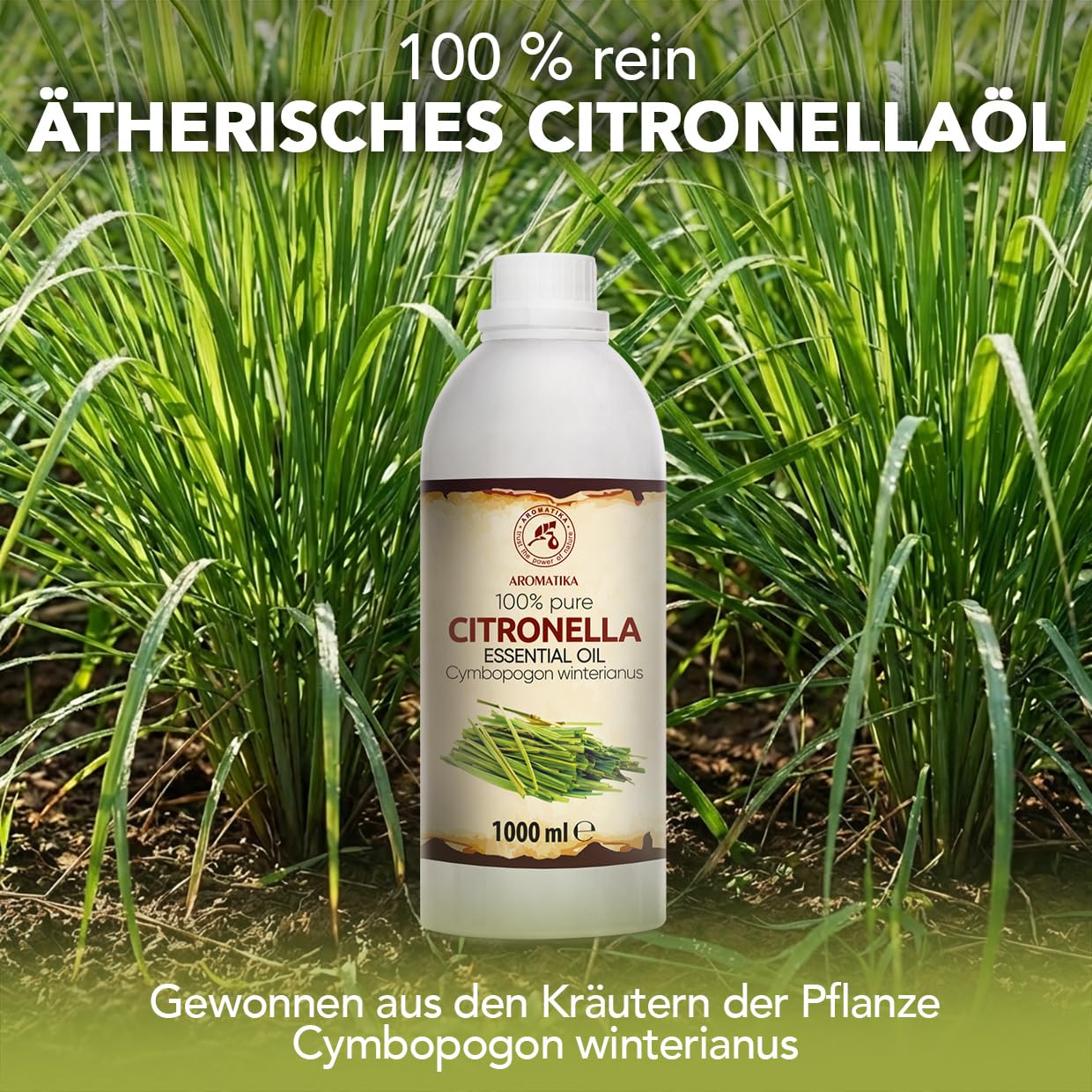 aromatika-essential-oils-citronella-therisches-l-1-l-frisch image 2