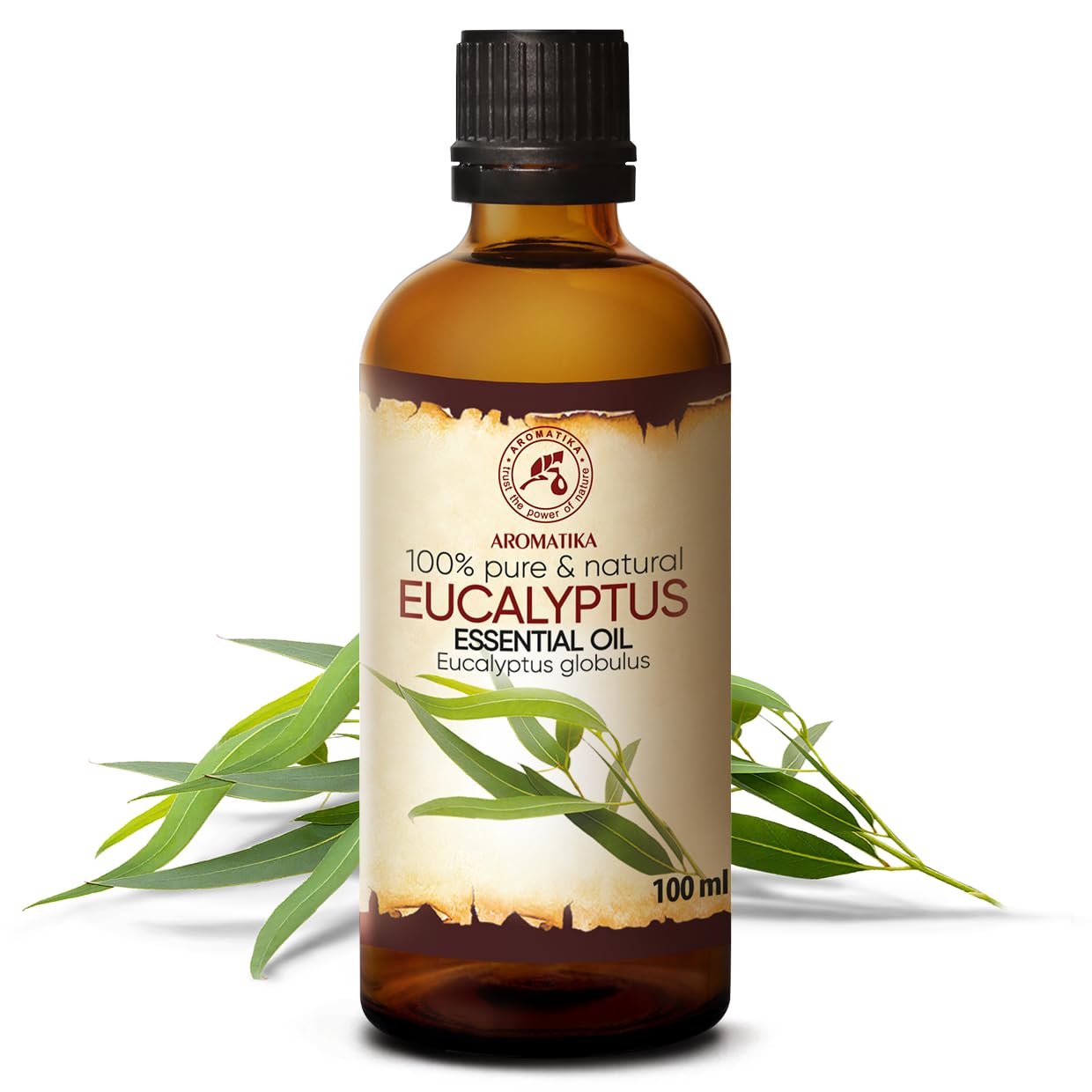 aromatika-eukalyptus-l-100-ml-therisches-l-diffuser-sauna image 2