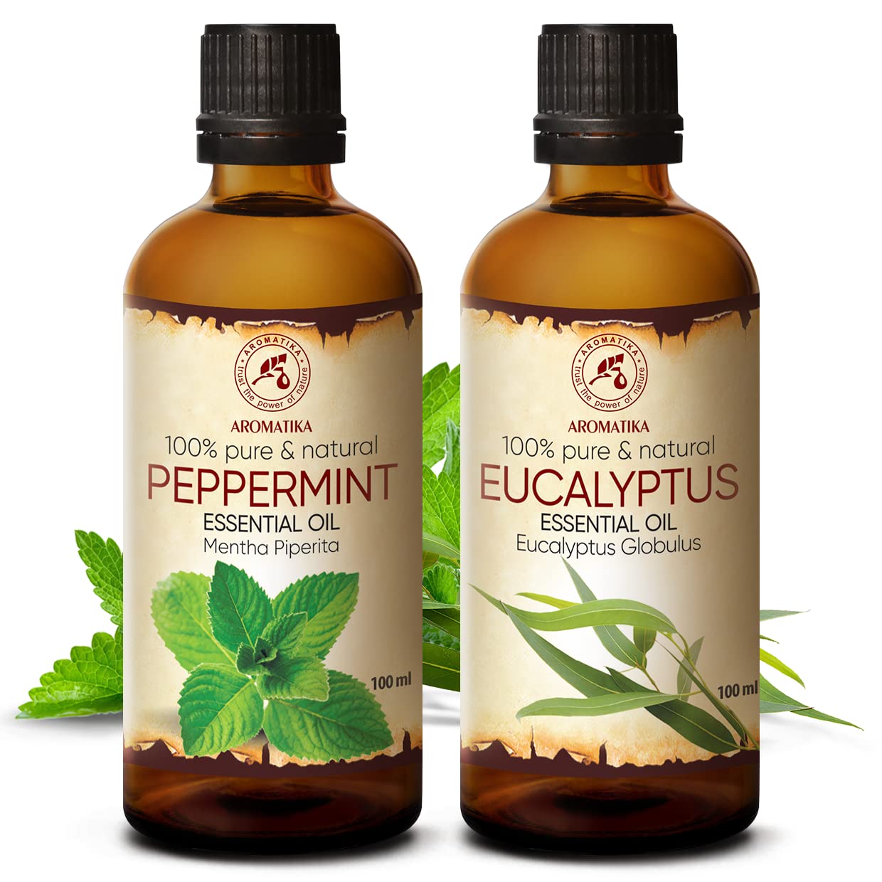 aromatika-pfefferminz-eukalyptus-therische-le-2x100-ml image 2