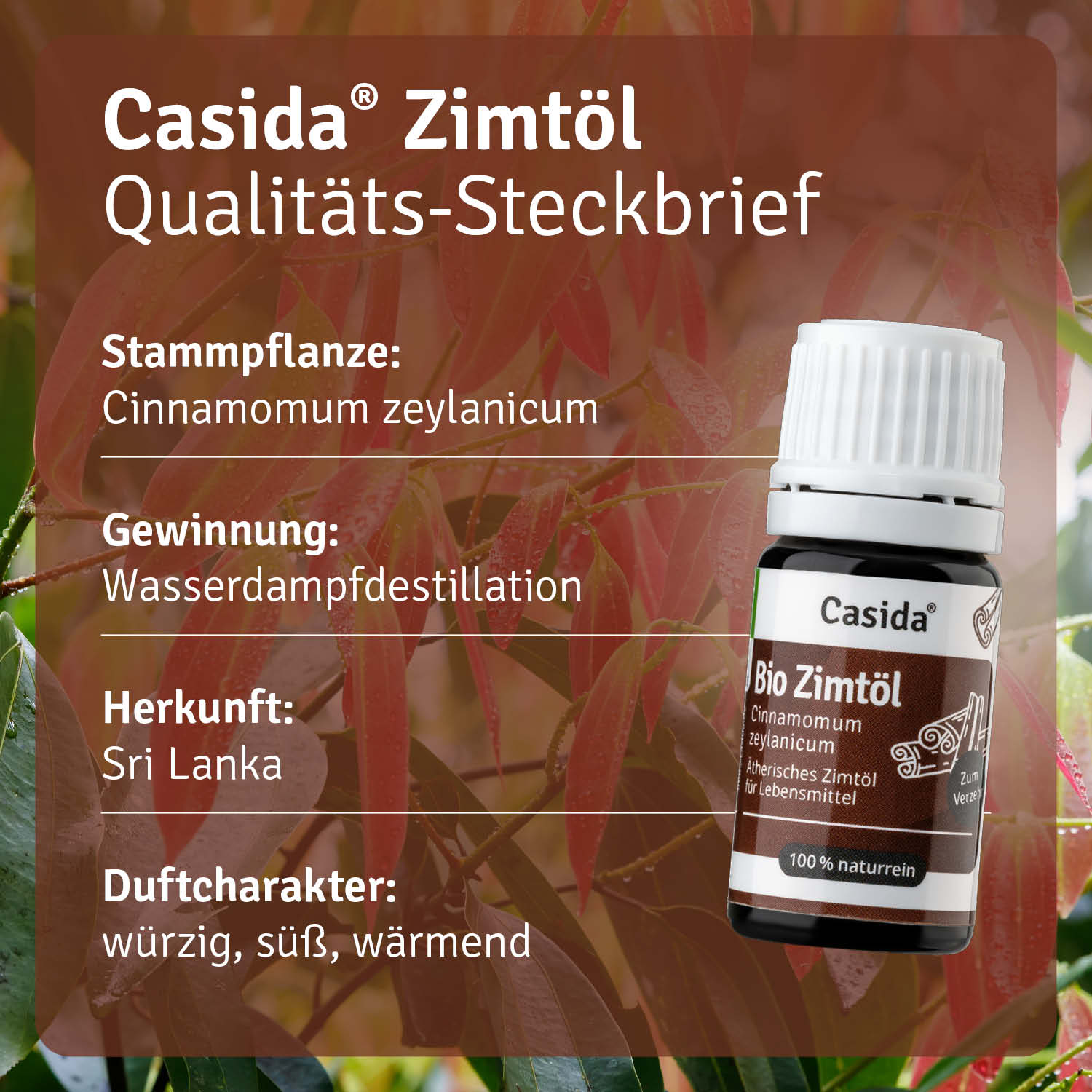 casida-bio-zimt-l-therisches-l-zum-einnehmen-w-rmend image 5
