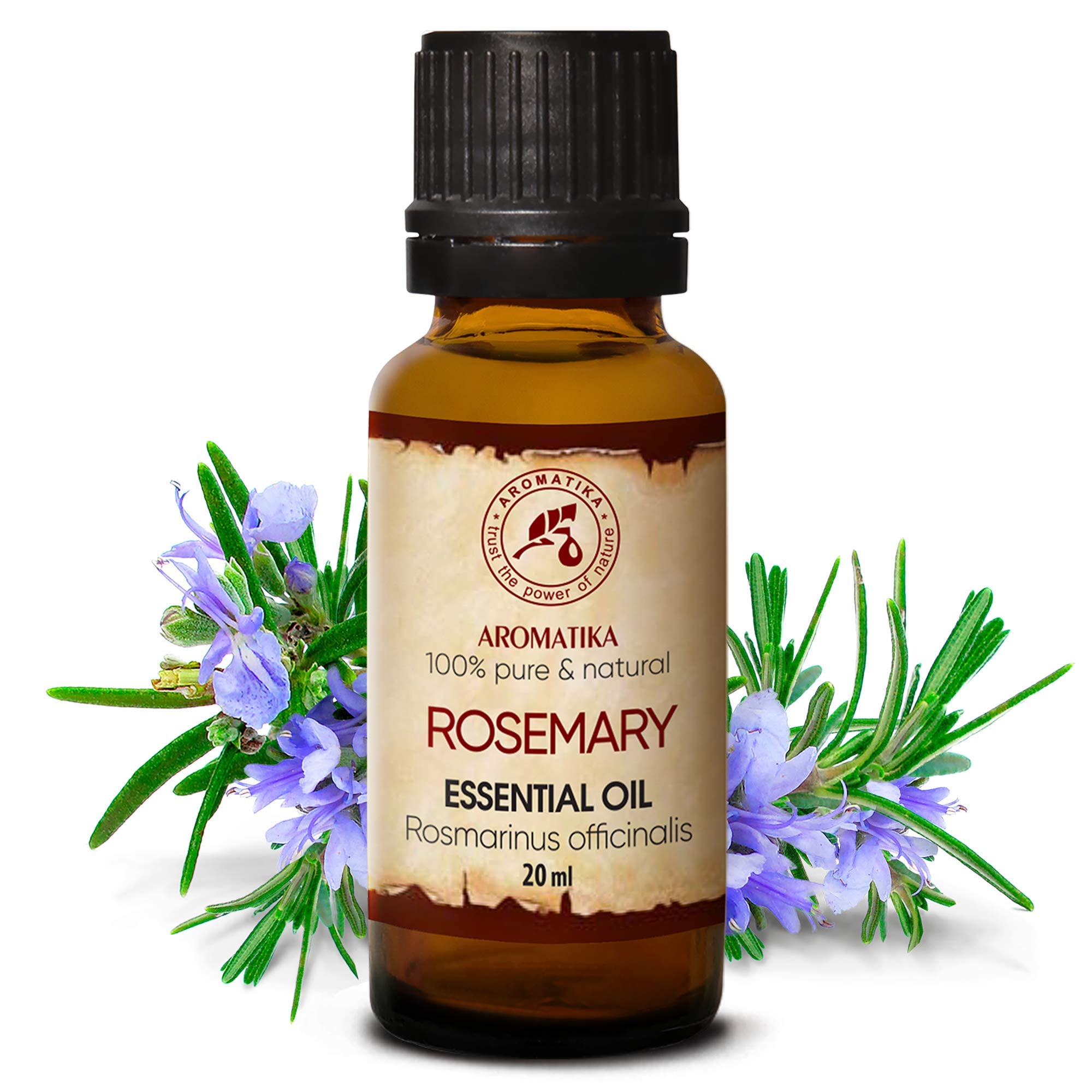 aromatika-rosmarin-l-20-ml-rosmarinus-naturkosmetik image 2