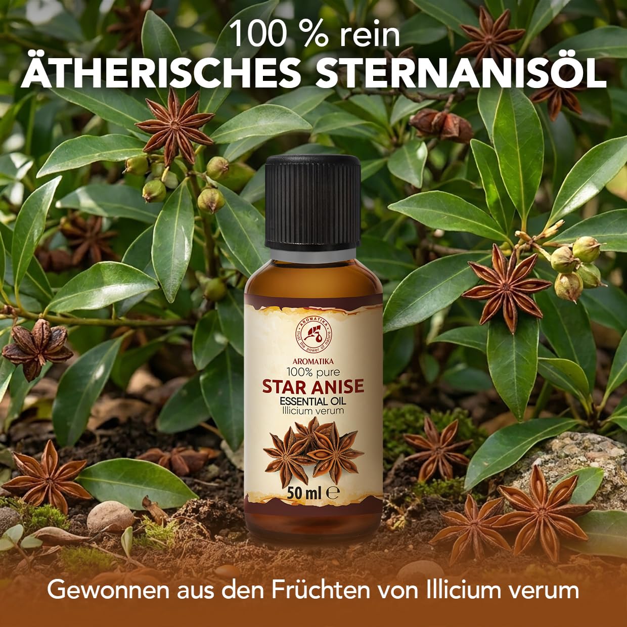 aromatika-sternanis-l-50ml-reines-therisches-anis-l image 2