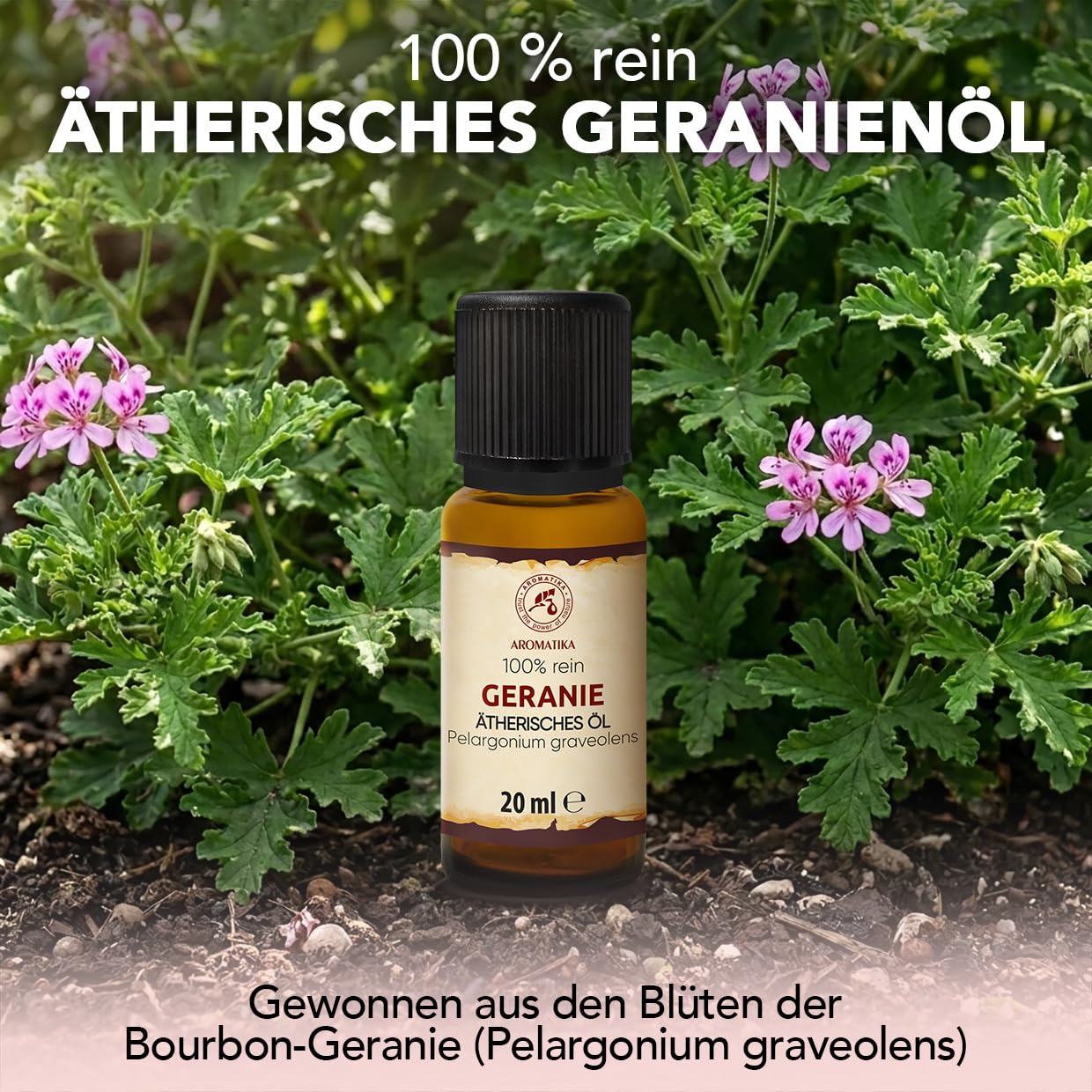 aromatika-essential-oils-geranien-l-therisches-l-20-ml-rosengeranie image 2