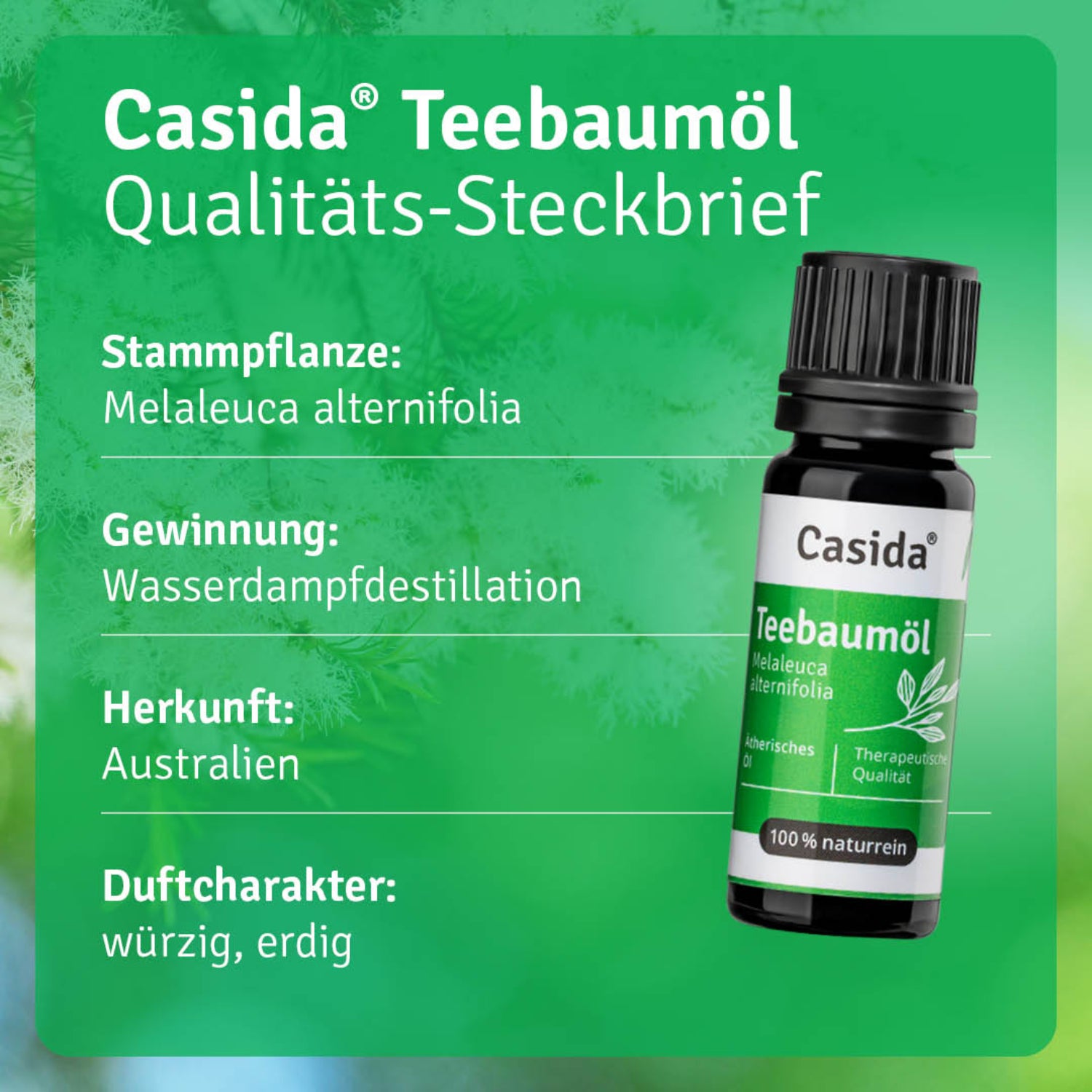casida-teebaum-l-therisches-l-naturrein-frisch-vielseitig image 3